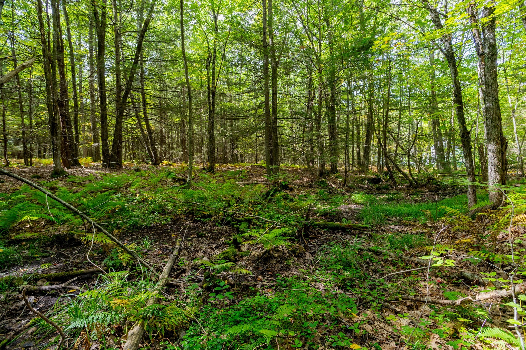 0 Riceville, Athol, MA 01331 - Image 13