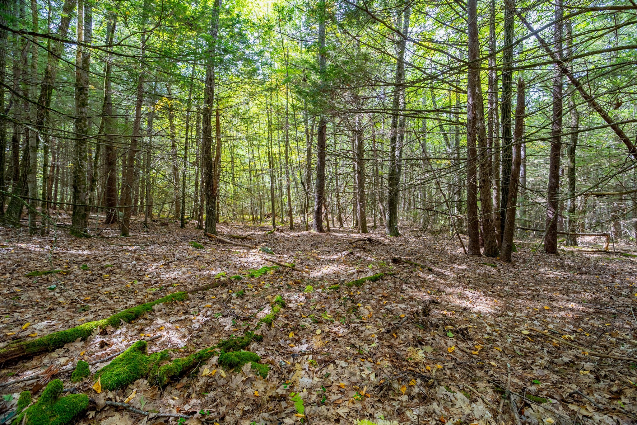 0 Riceville, Athol, MA 01331 - Image 14