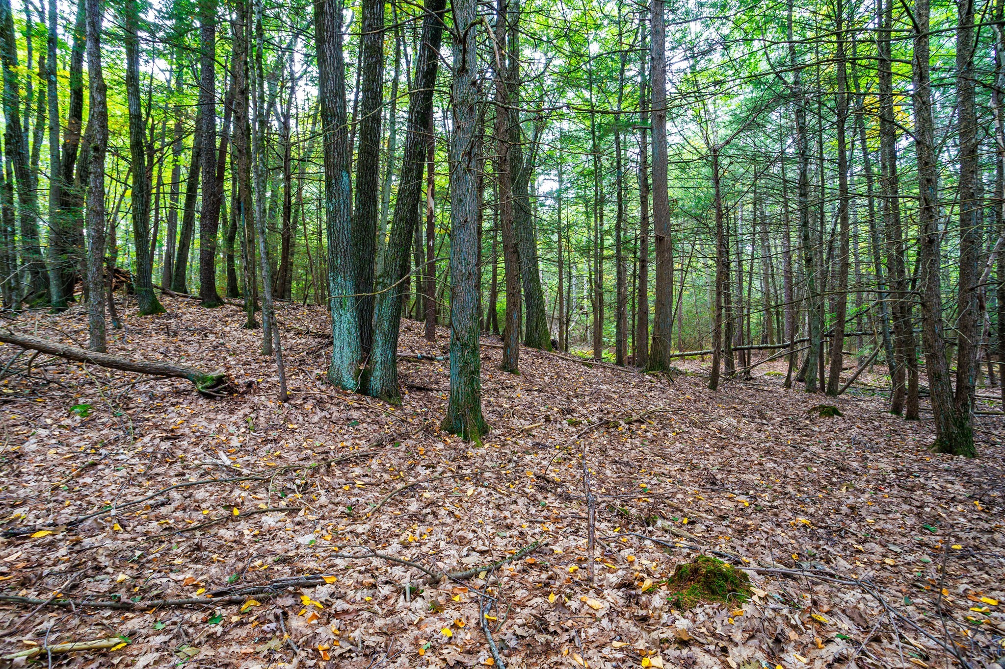 0 Riceville, Athol, MA 01331 - Image 15