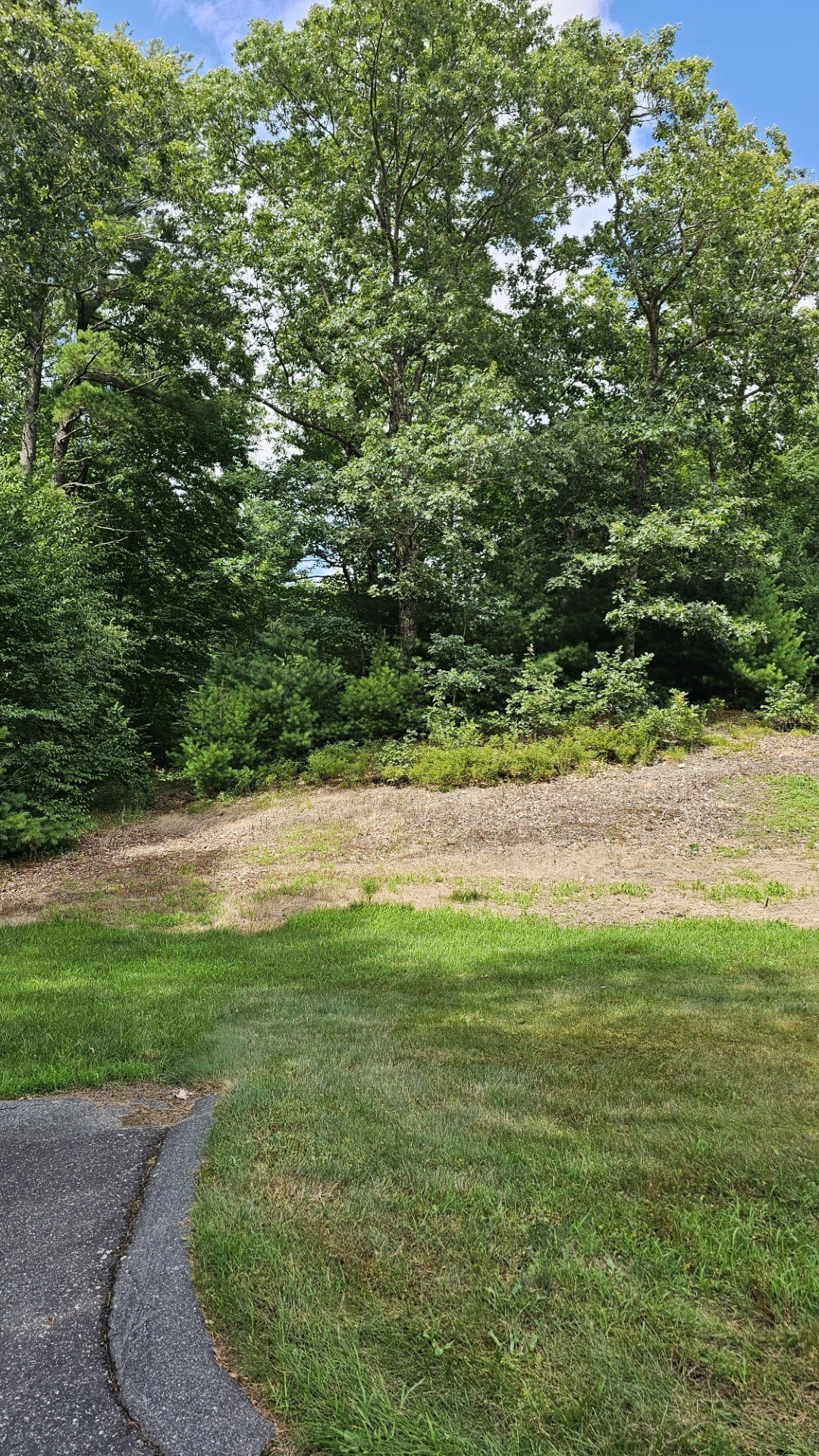 0 McGill Ln, Milford, MA 01757 - Image 6