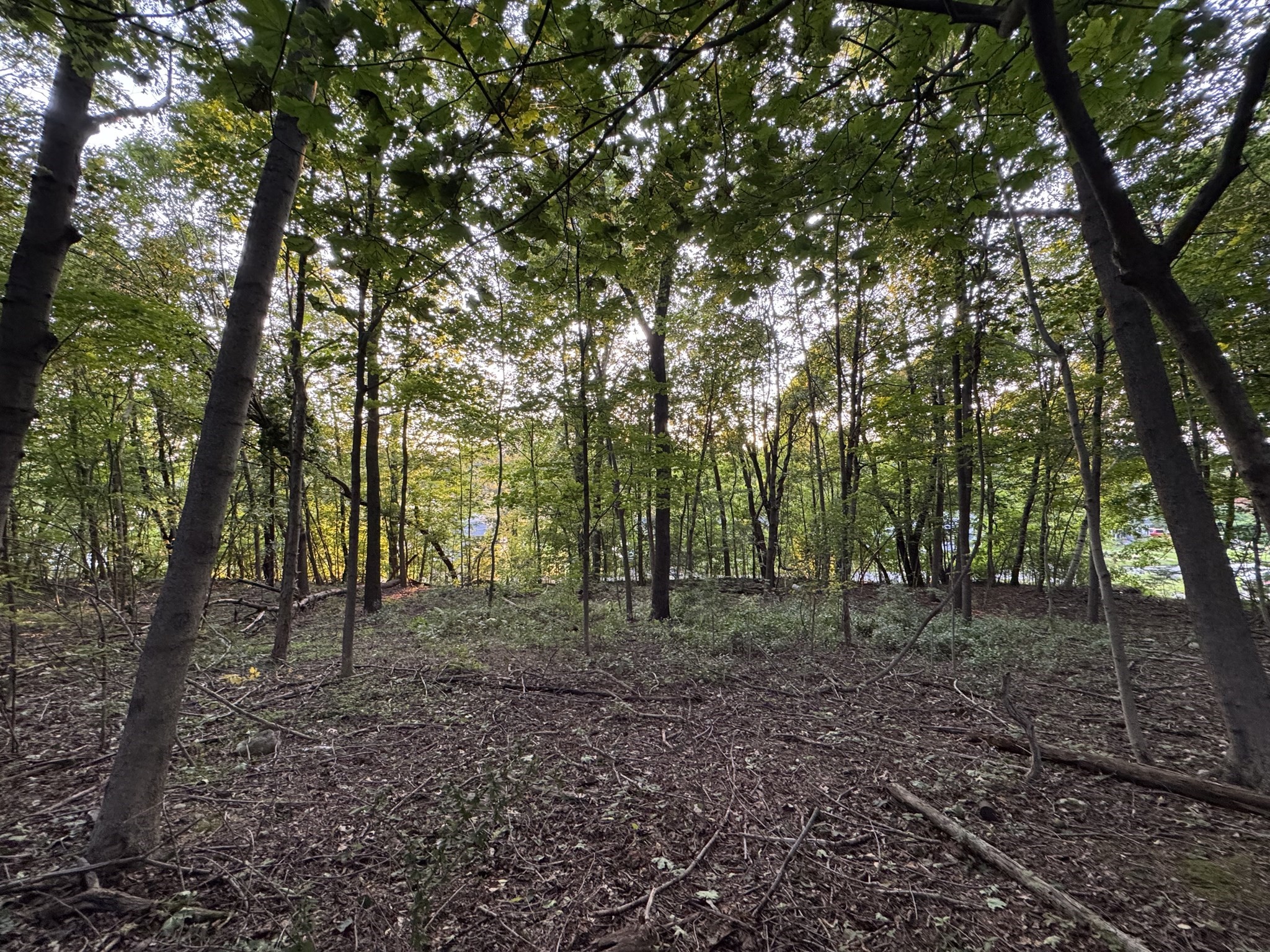 0 North St, East Brookfield, MA 01515 - Image 11