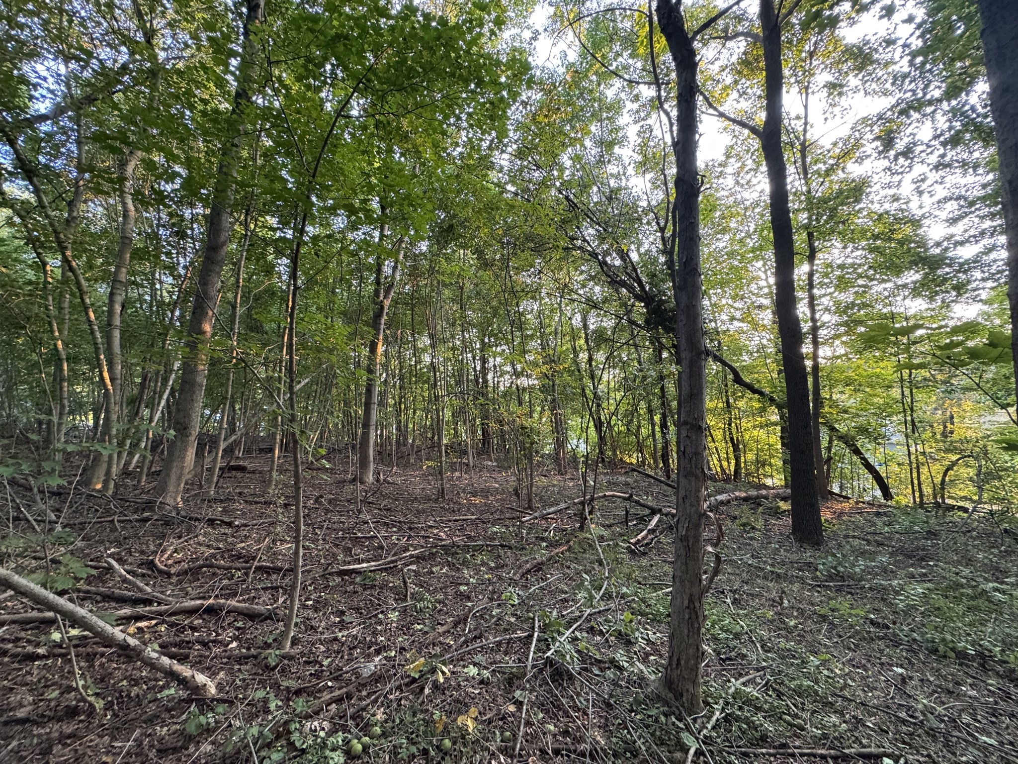 0 North St, East Brookfield, MA 01515 - Image 12