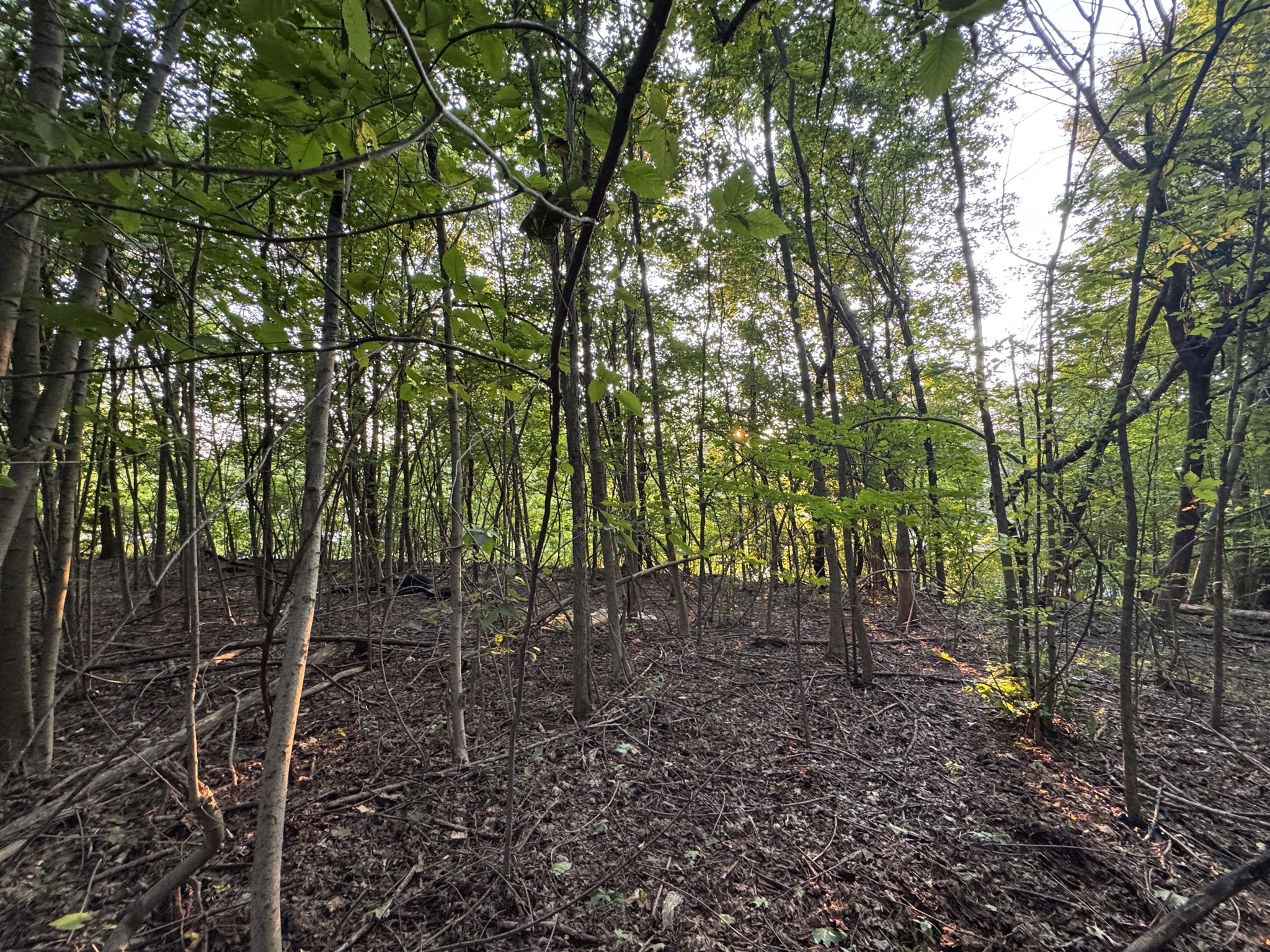 0 North St, East Brookfield, MA 01515 - Image 13