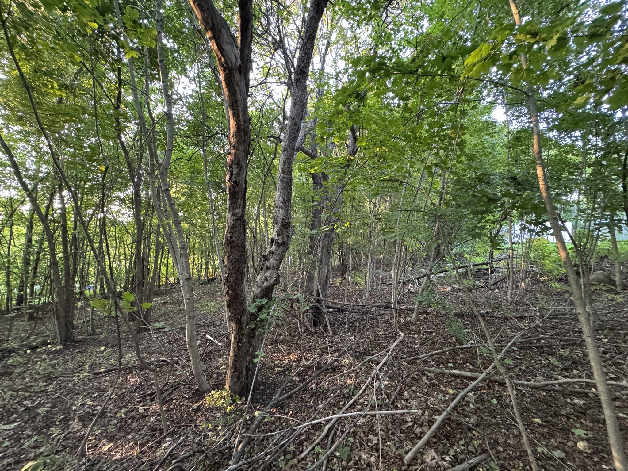 0 North St, East Brookfield, MA 01515 - Image 7