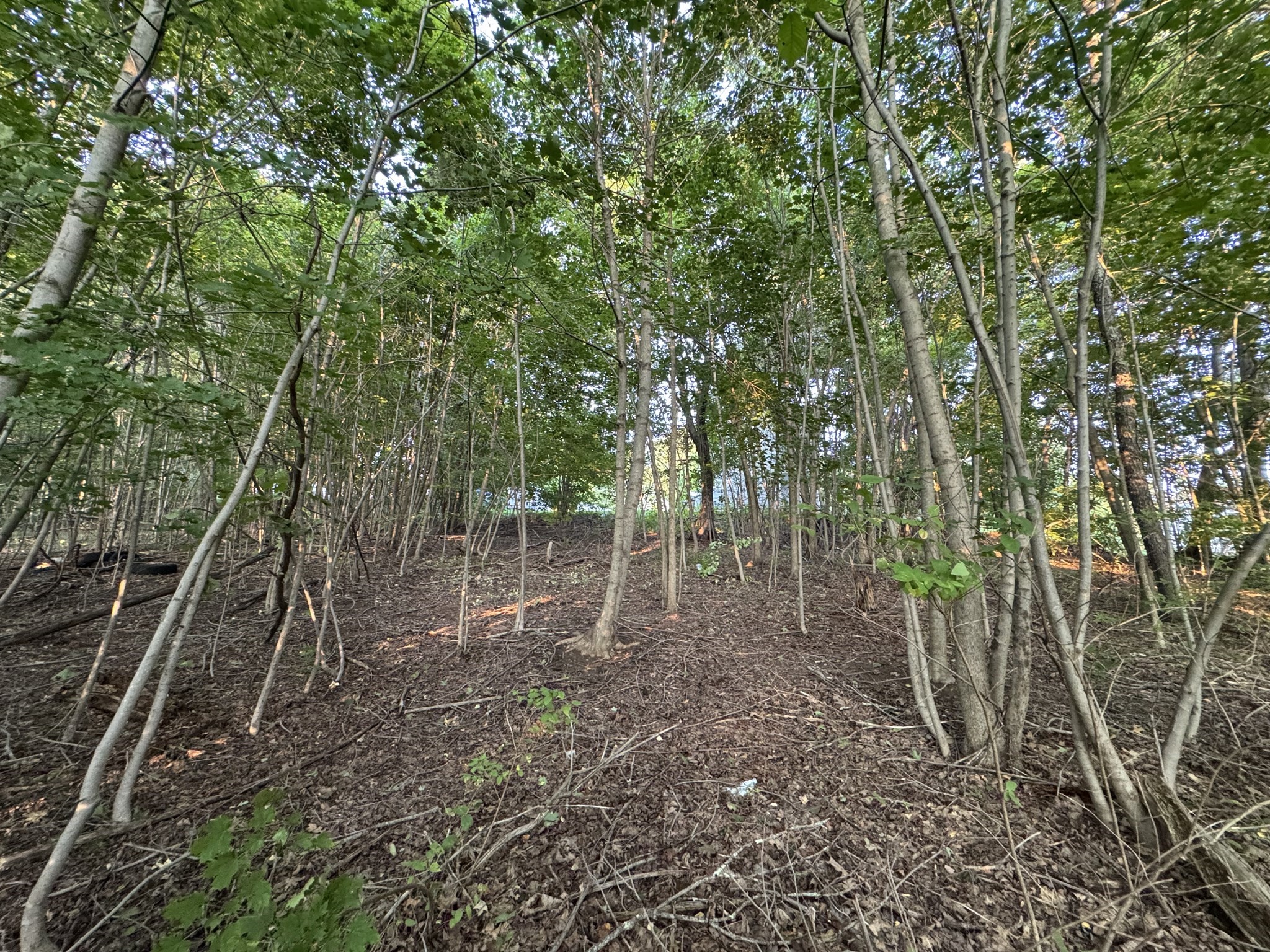 0 North St, East Brookfield, MA 01515 - Image 8