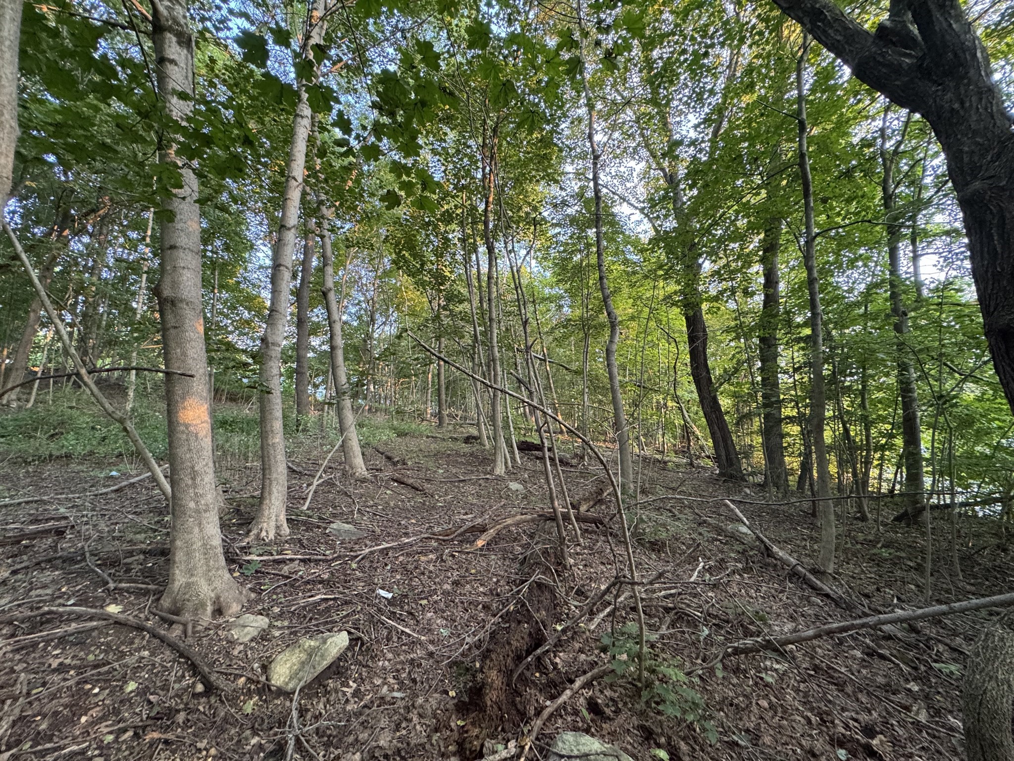 0 North St, East Brookfield, MA 01515 - Image 9