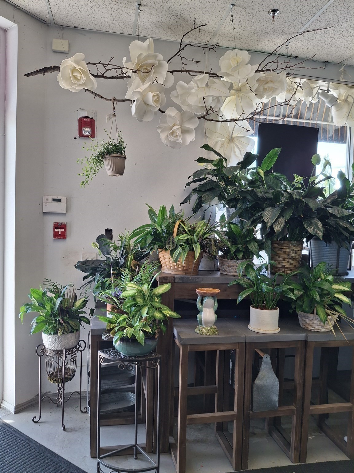 120 Stafford St, Worcester, MA 01603 - Image 11