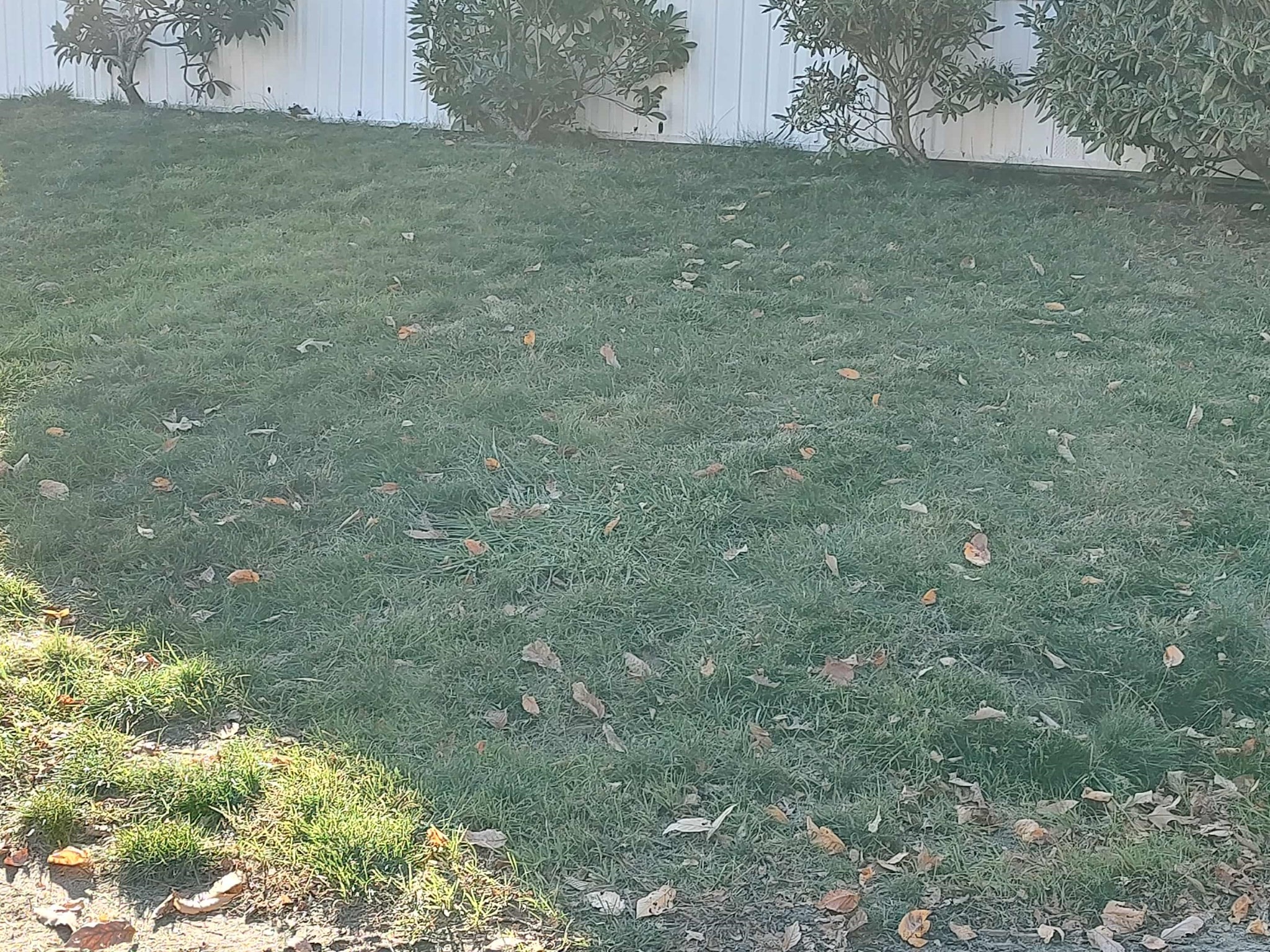 22 Medallion Road, Holbrook, MA 02343 - Image 32