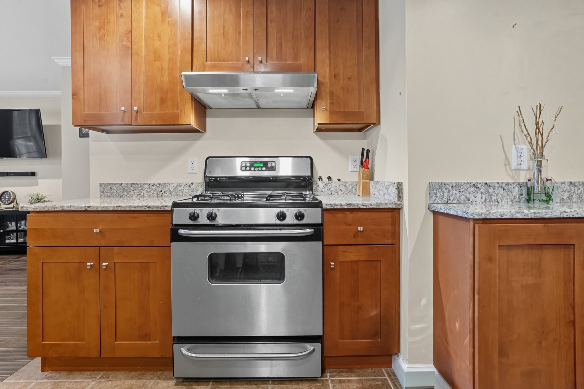 12 Birchbrush Ln Unit 12, Worcester, MA 01606 - Image 14