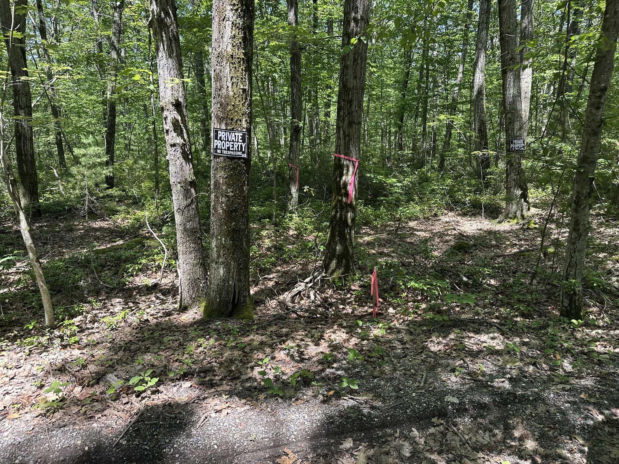 39 Irish Lane, Rutland, MA 01543 - Image 16