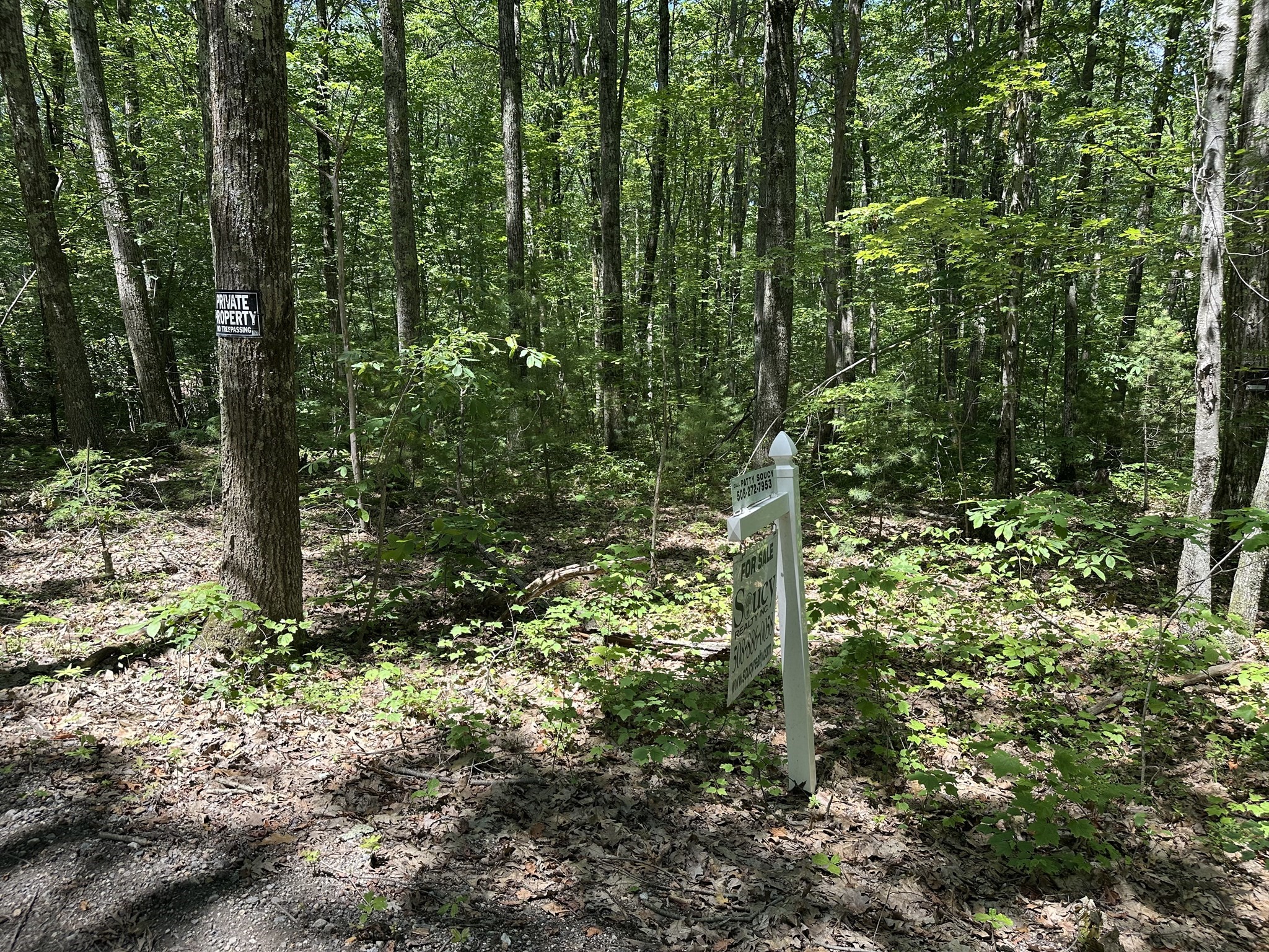 39 Irish Lane, Rutland, MA 01543 - Image 4