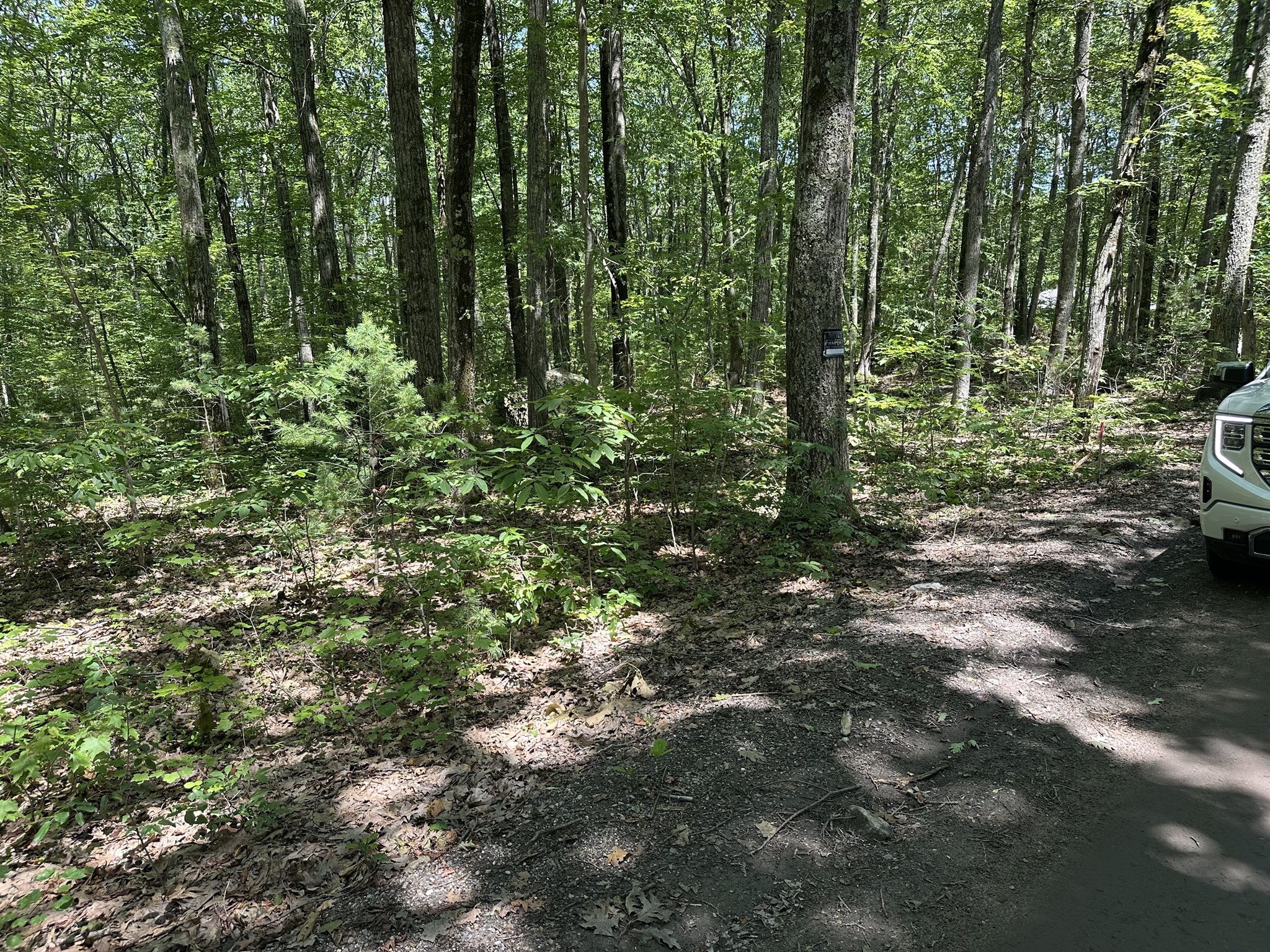 39 Irish Lane, Rutland, MA 01543 - Image 6