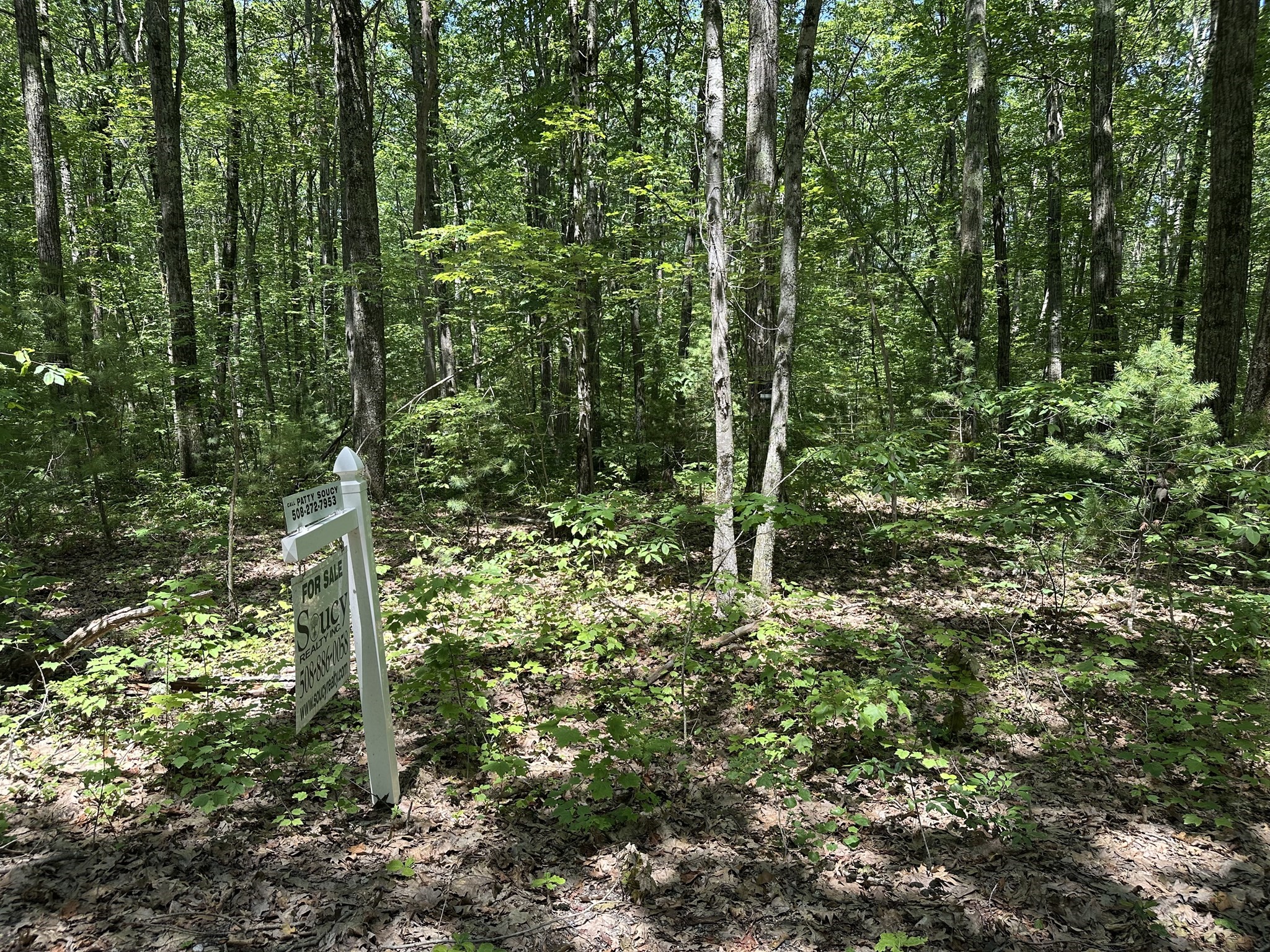 39 Irish Lane, Rutland, MA 01543 - Image 7