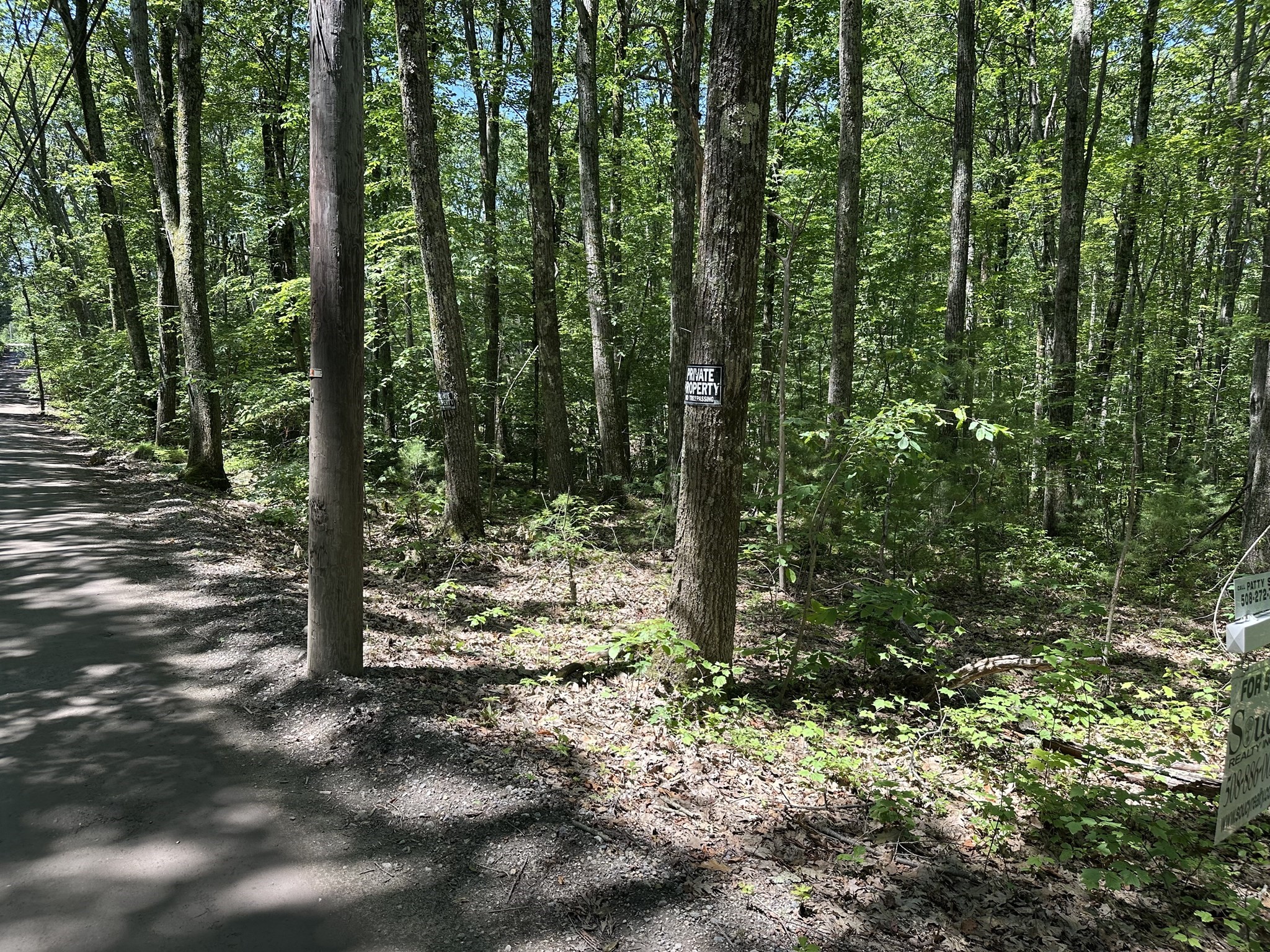 43 Irish Lane, Rutland, MA 01543 - Image 5