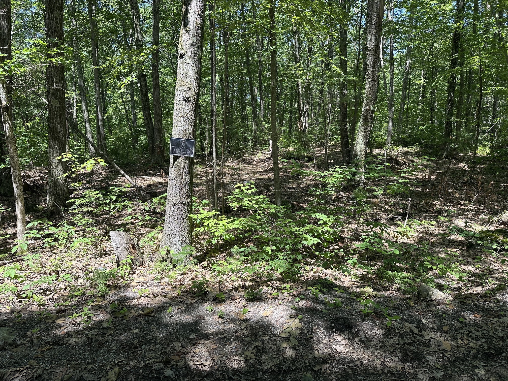 43 Irish Lane, Rutland, MA 01543 - Image 10