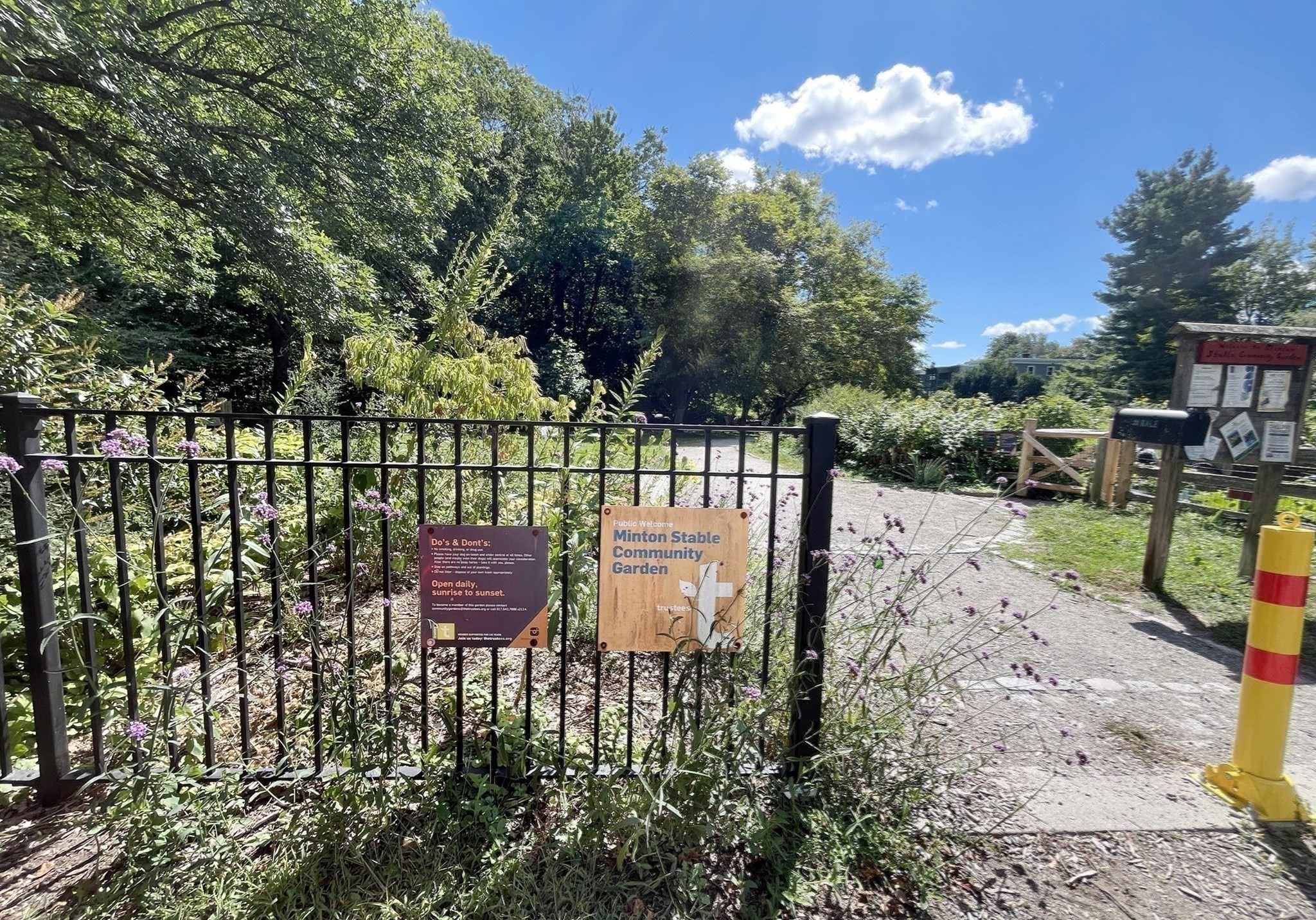 10 Plainfield St Unit 1, Jamaica Plain, Boston, MA 02130 - Image 18