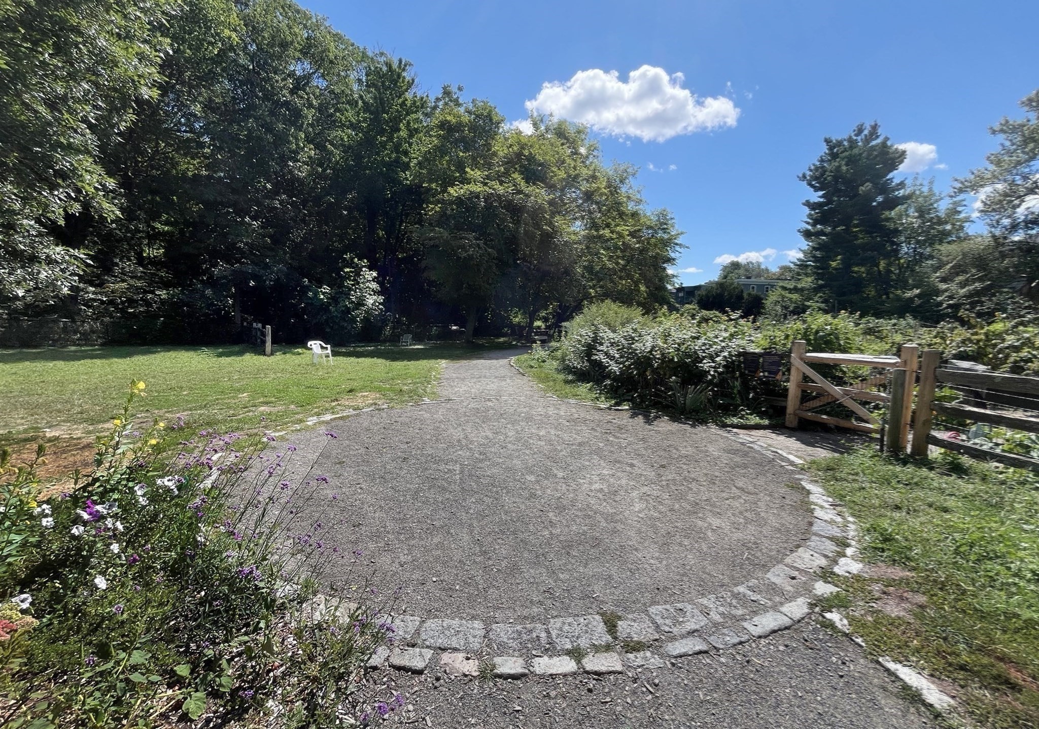 10 Plainfield St Unit 1, Jamaica Plain, Boston, MA 02130 - Image 19