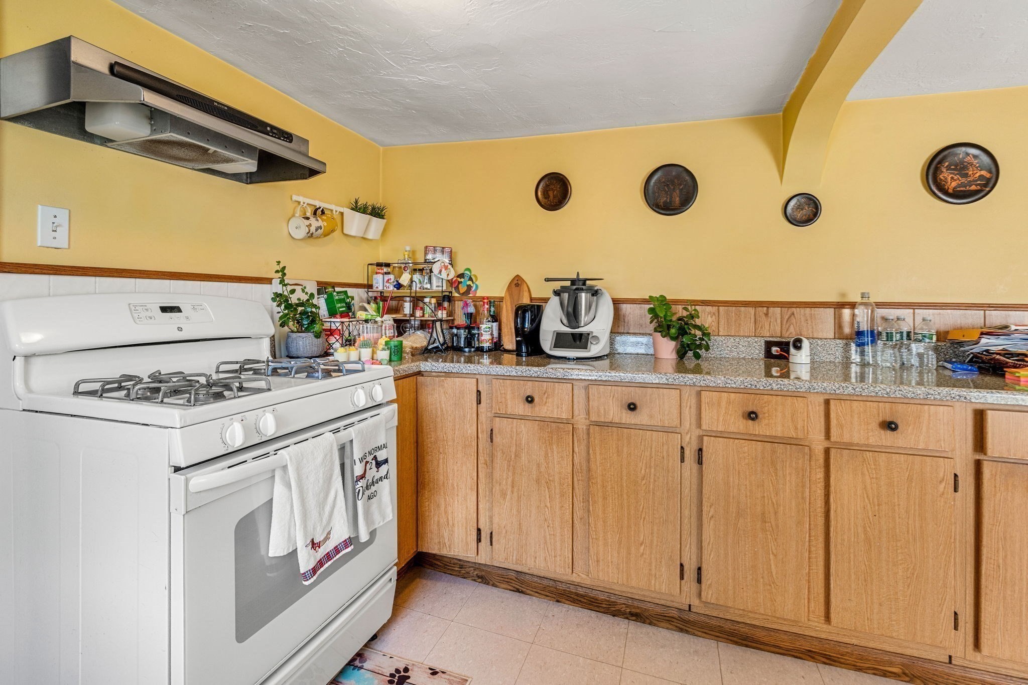 42 Mayhew Street, Dorchester, Boston, MA 02125 - Image 14