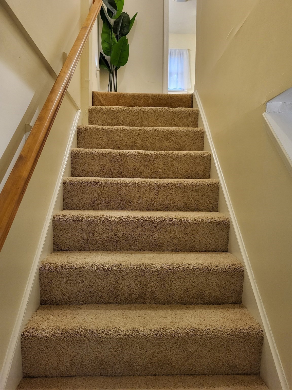 14 Robey Street Unit 14, Roxbury, Boston, MA 02119 - Image 11