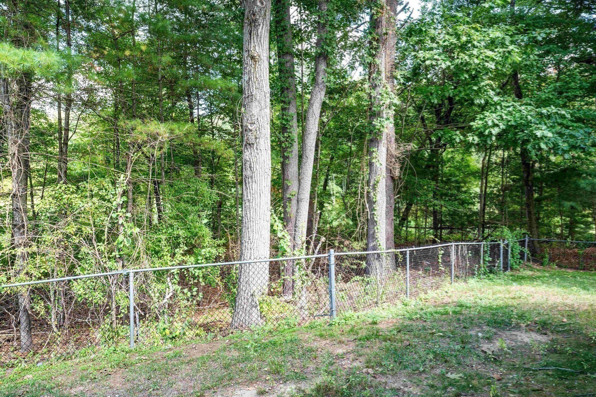 30 Powderhorn Ln, Holliston, MA 01746 - Image 34