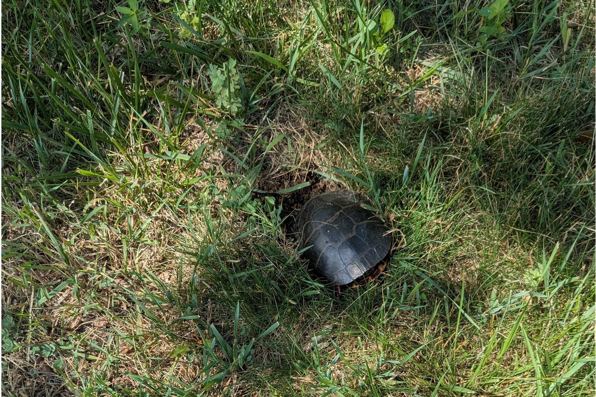 30 Powderhorn Ln, Holliston, MA 01746 - Image 35