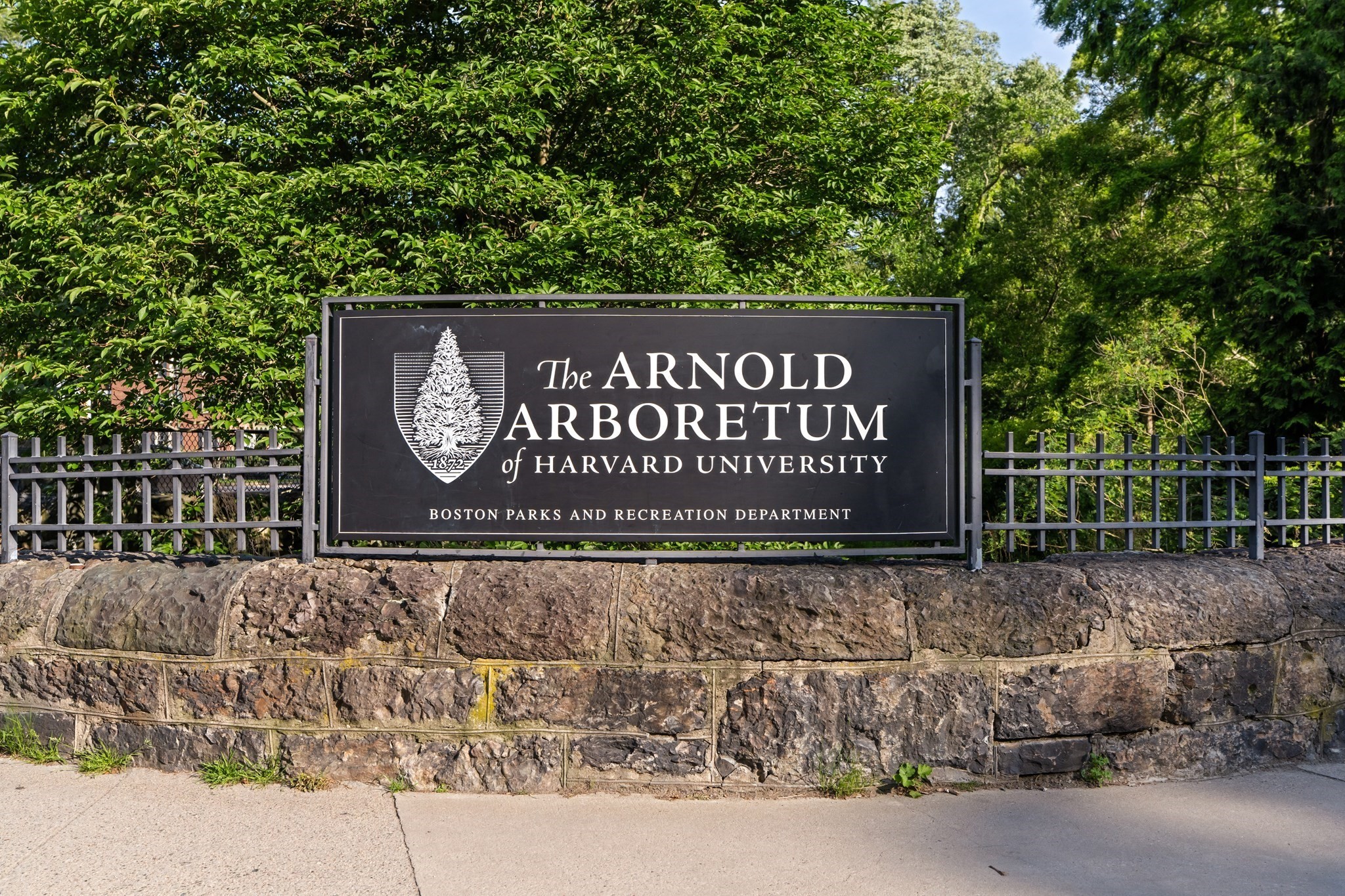 35 Eldridge Road Unit 209, Jamaica Plain, Boston, MA 02130 - Image 32