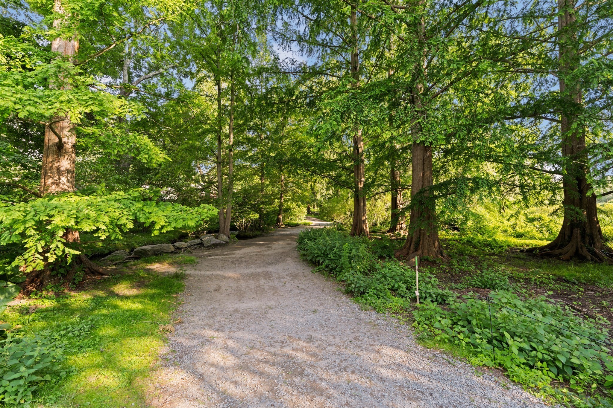 35 Eldridge Road Unit 209, Jamaica Plain, Boston, MA 02130 - Image 34