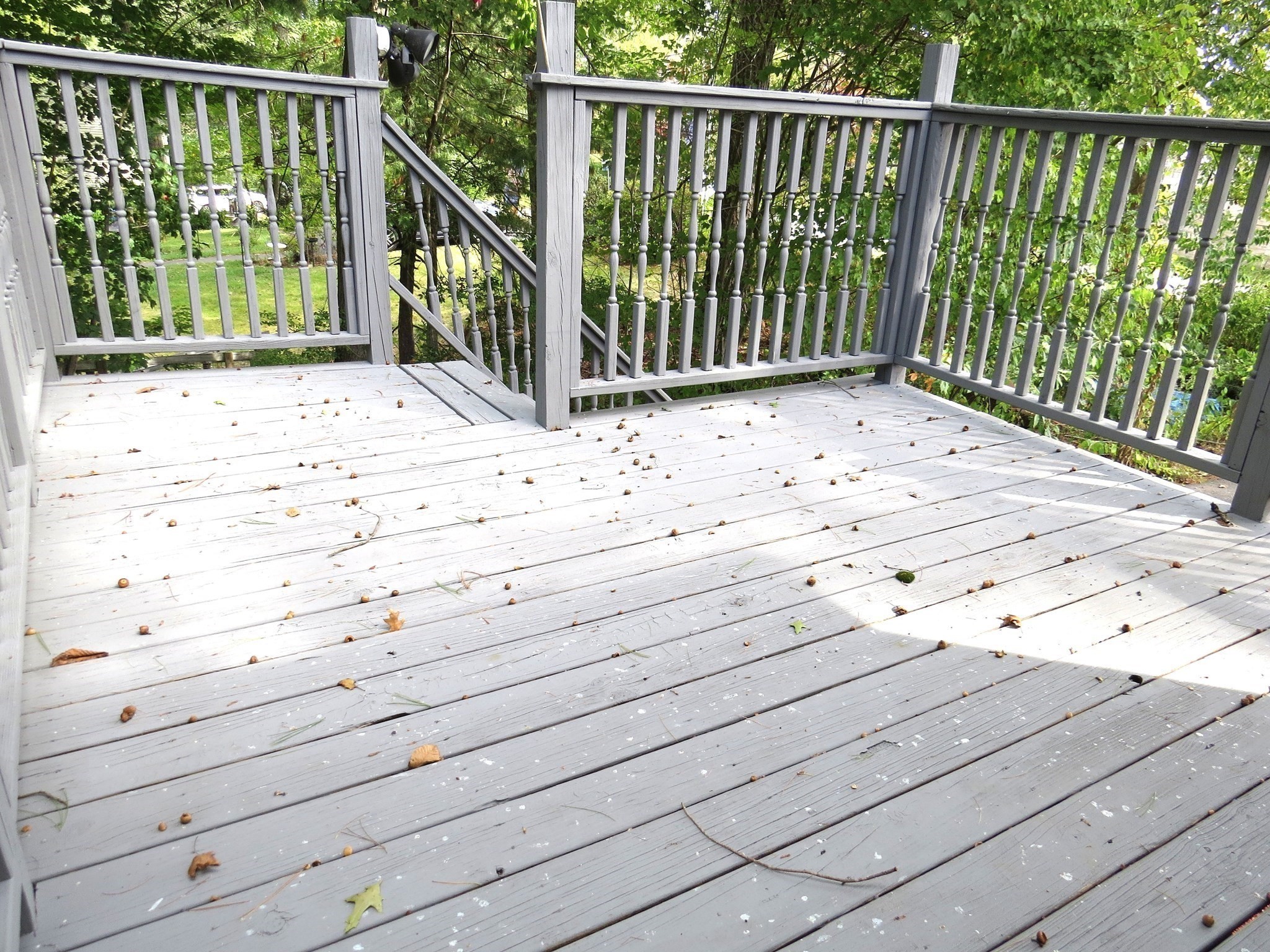 43 Outlook Rd, Billerica, MA 01862 - Image 26