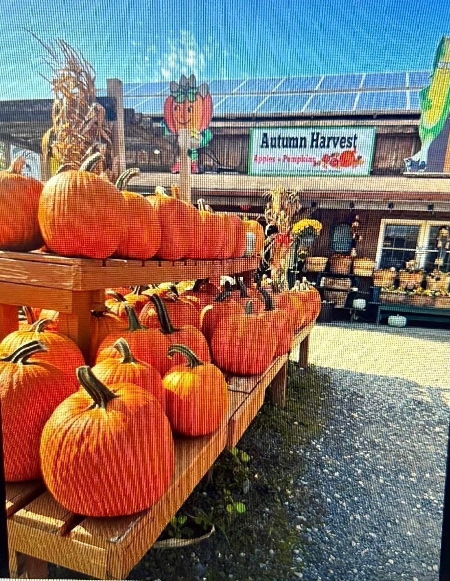 336 Russellville Road, Westfield, MA 01085 - Image 12