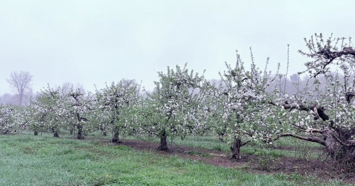 336 Russellville Road, Westfield, MA 01085 - Image 20