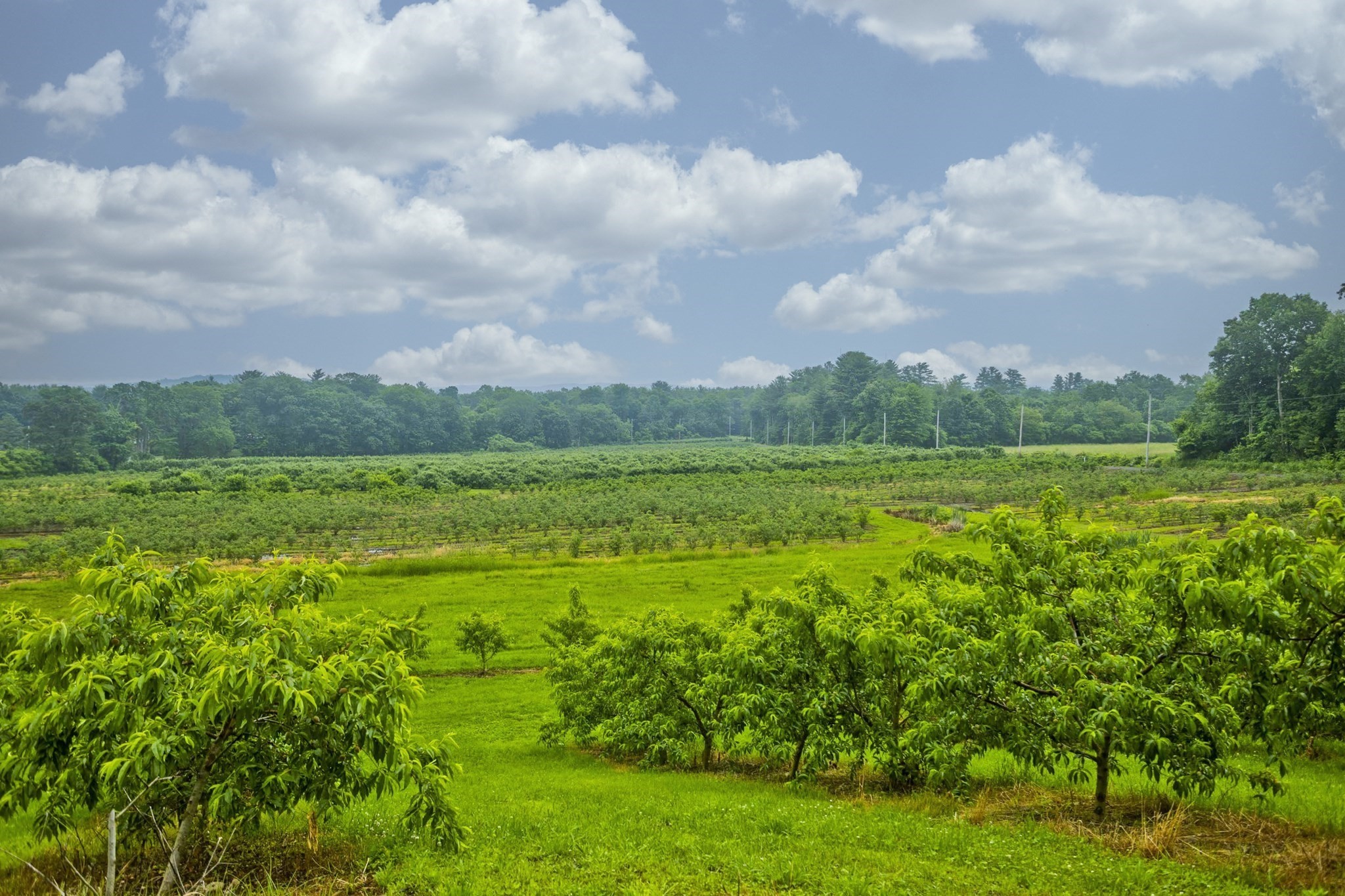 336 Russellville Road, Westfield, MA 01085 - Image 24