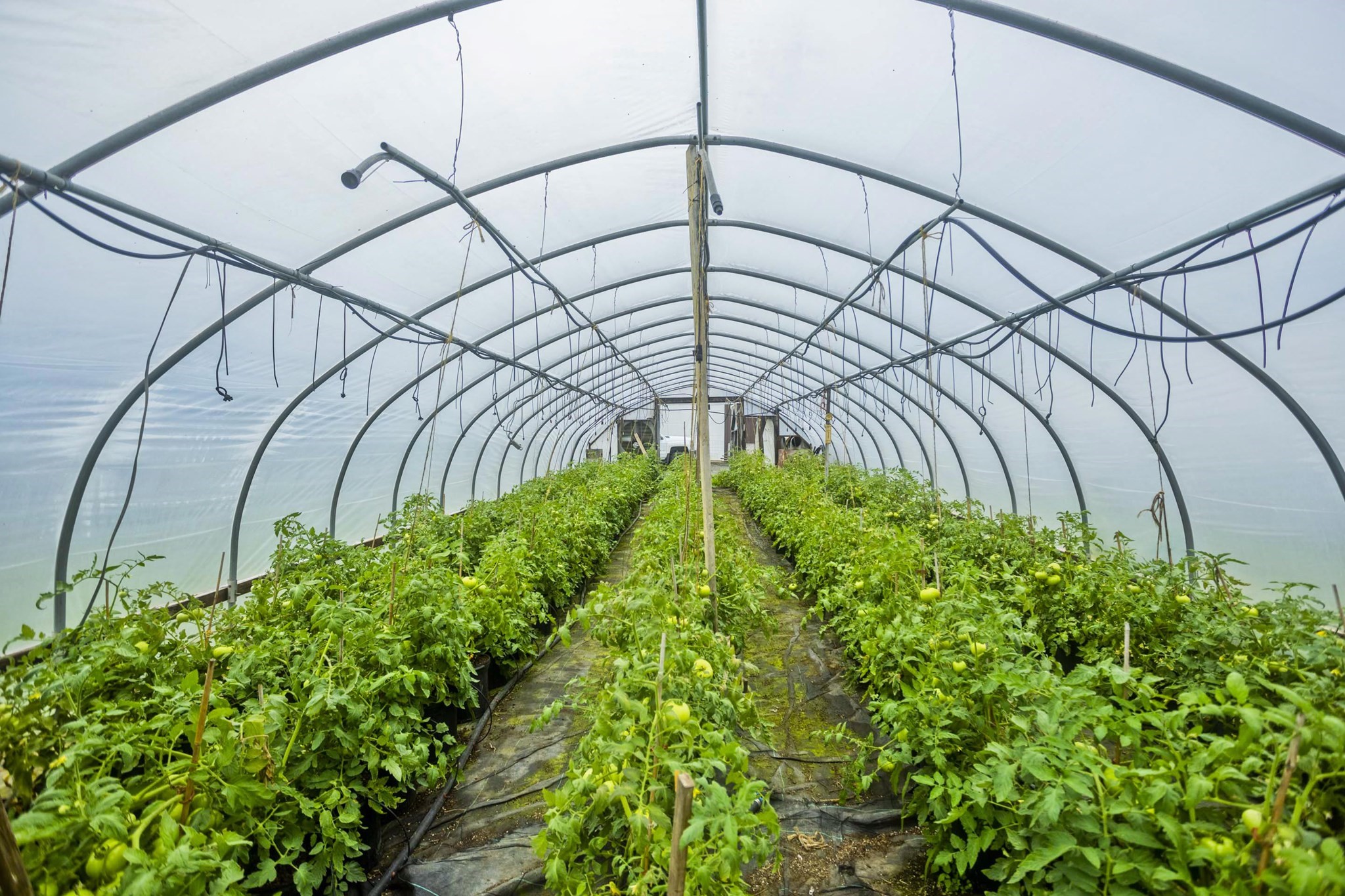 336 Russellville Road, Westfield, MA 01085 - Image 31