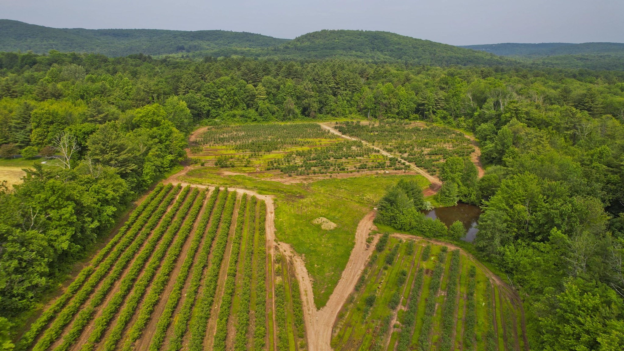 336 Russellville Road, Westfield, MA 01085 - Image 32