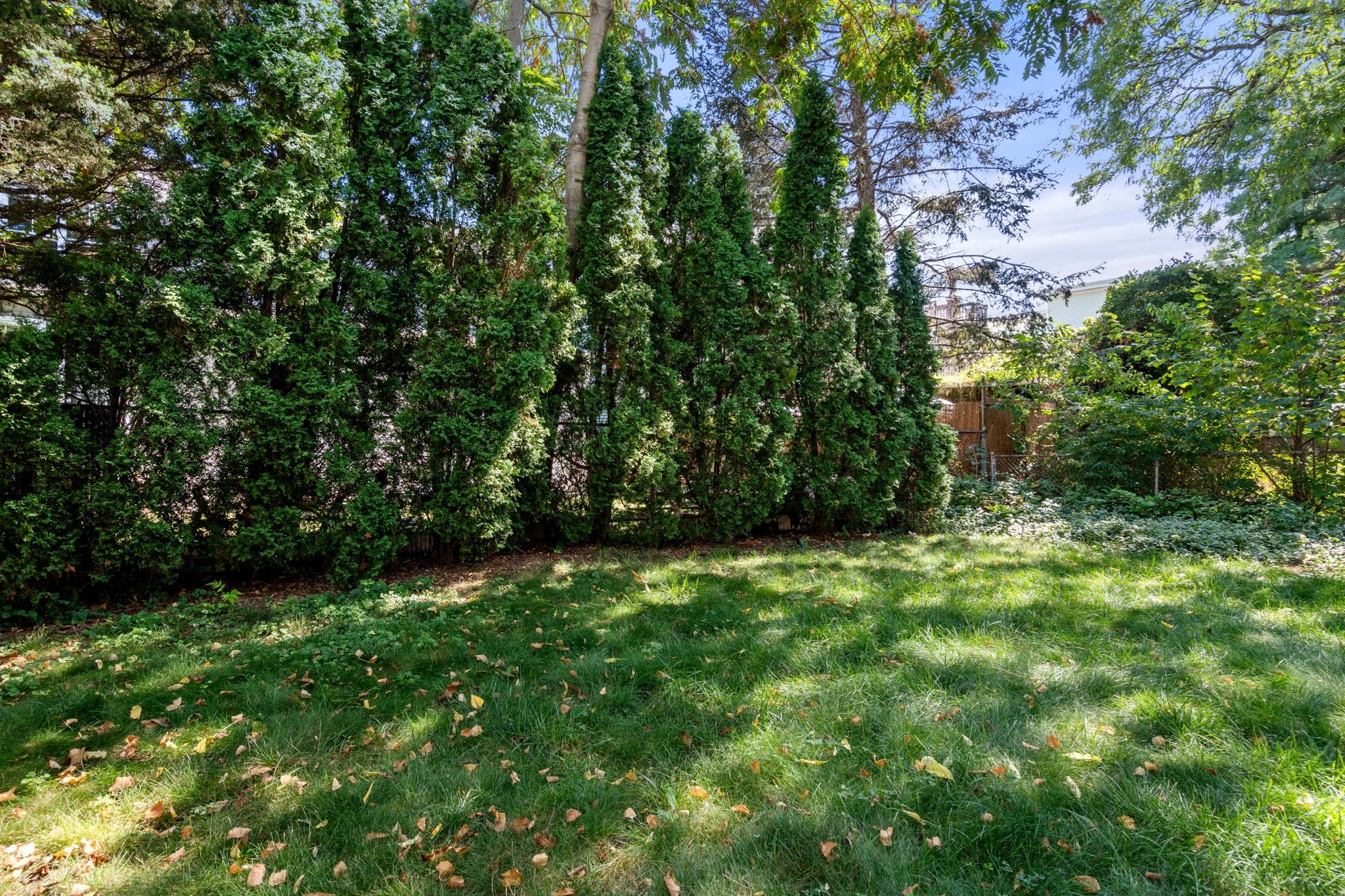 30 Union St Unit 1, Cambridge, MA 02141 - Image 13