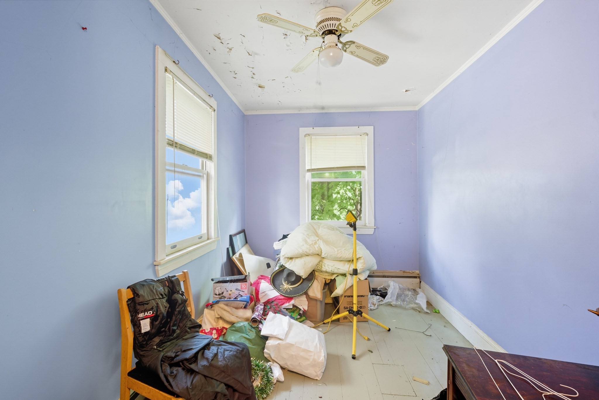 44 Newbern St, Jamaica Plain, Boston, MA 02130 - Image 11