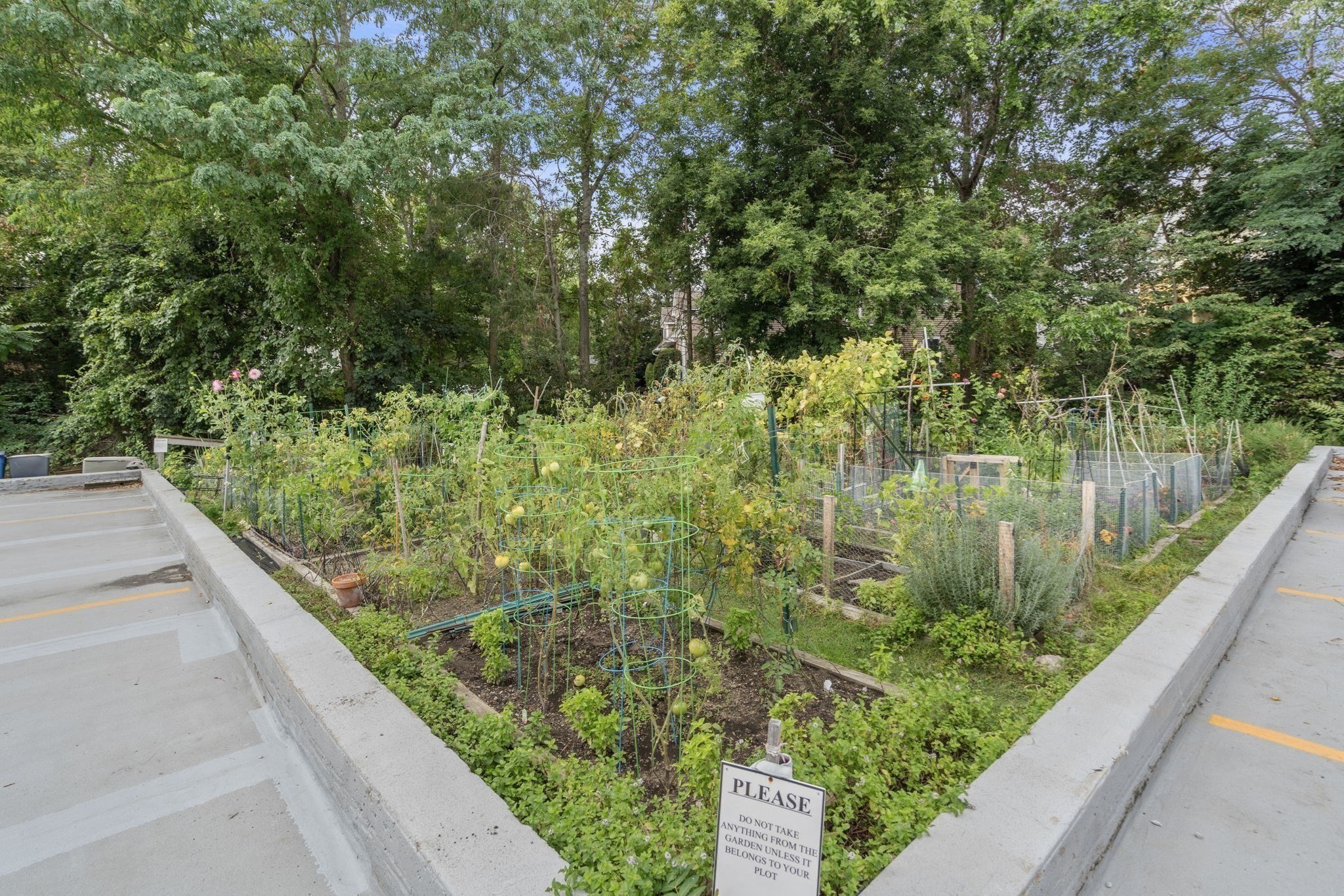 250 Hammond Pond Pkwy Unit 1002N, Newton, MA 02467 - Image 30