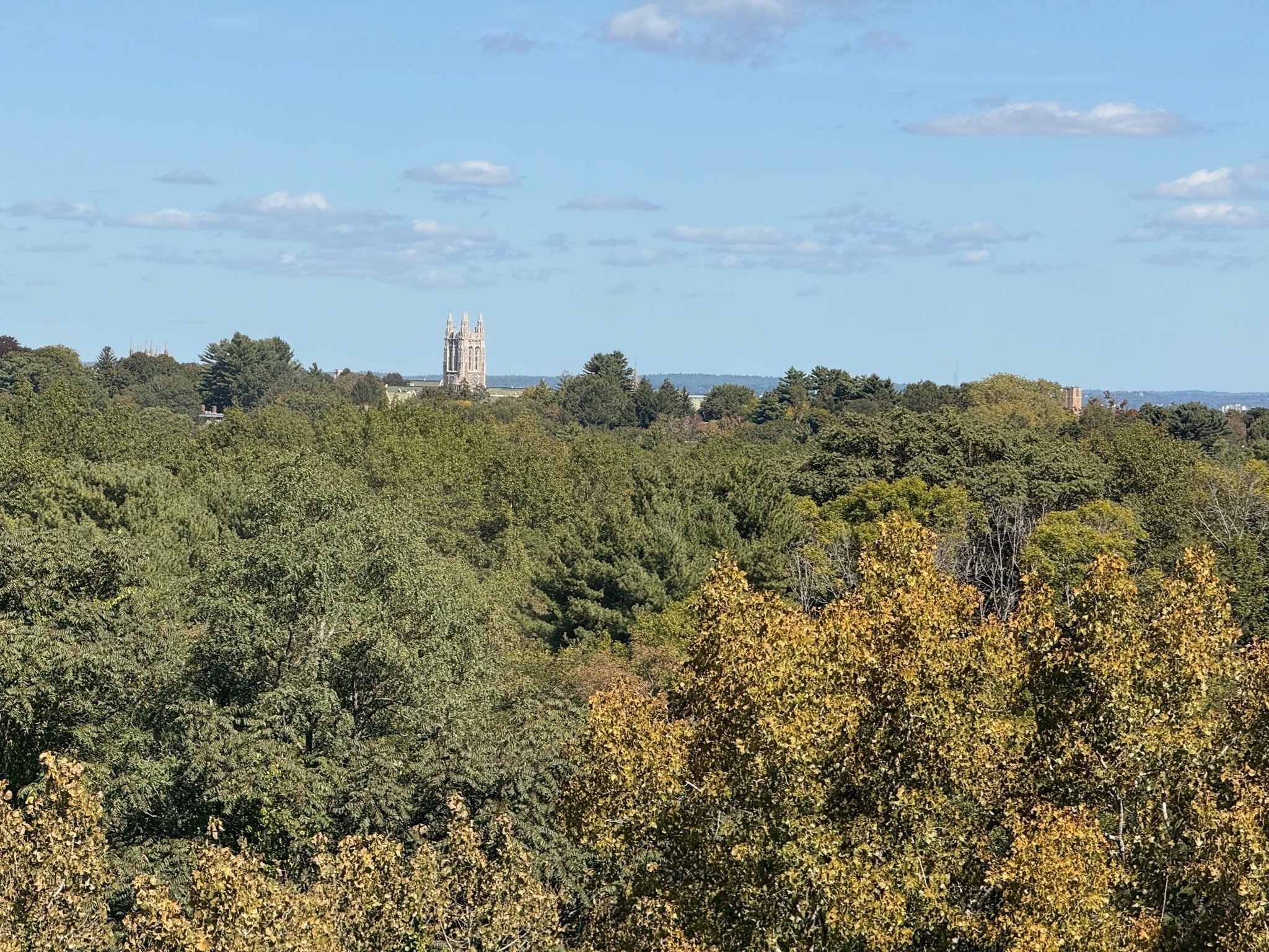 250 Hammond Pond Pkwy Unit 1002N, Newton, MA 02467 - Image 32