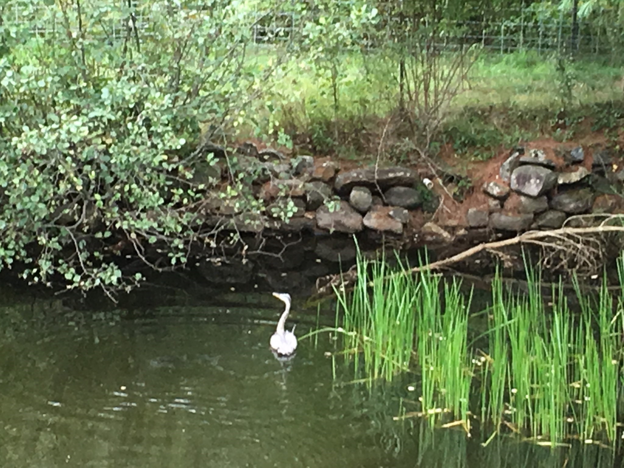 30 Little Rest Rd, Brimfield, MA 01010 - Image 35