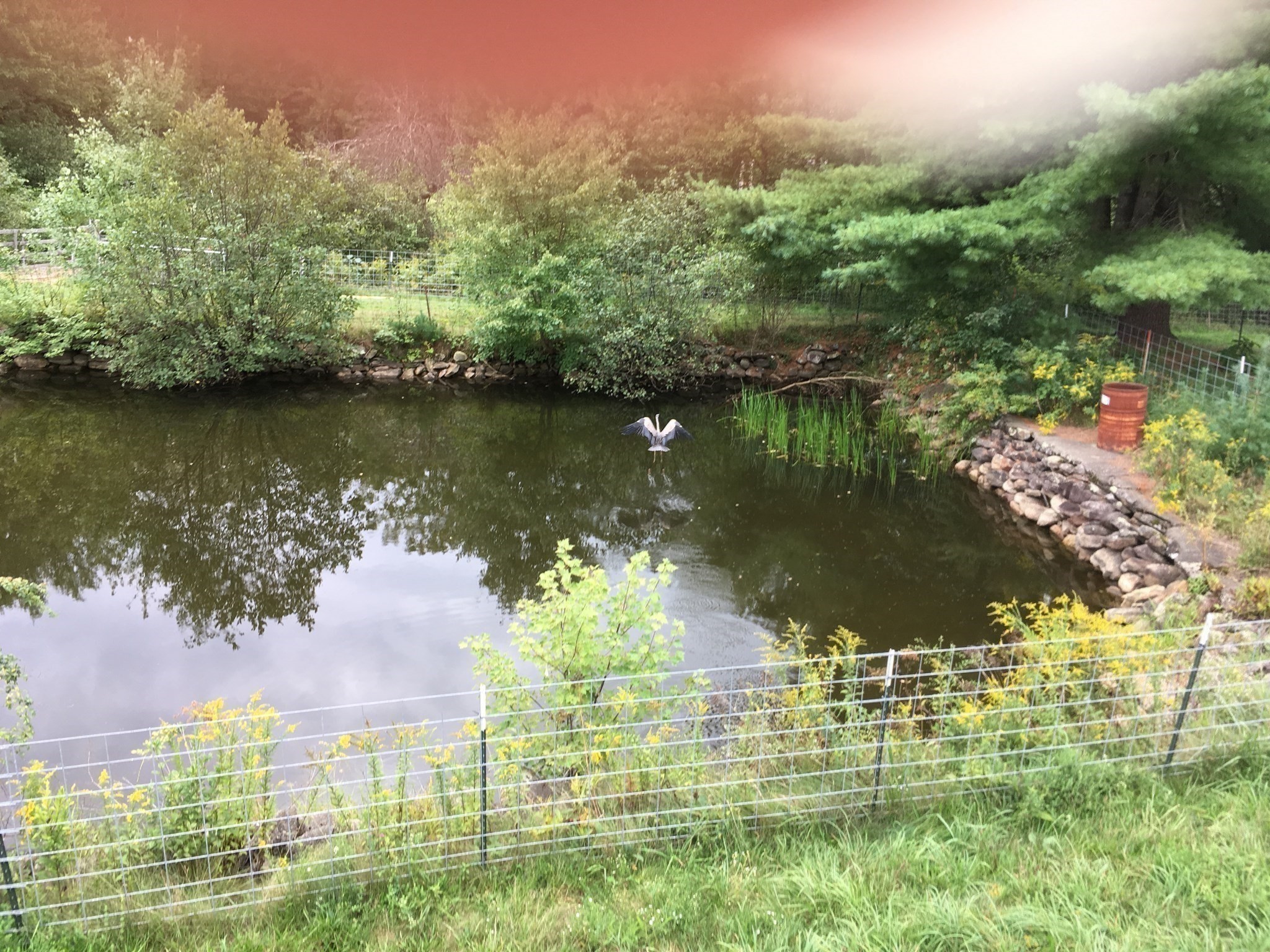 30 Little Rest Rd, Brimfield, MA 01010 - Image 36