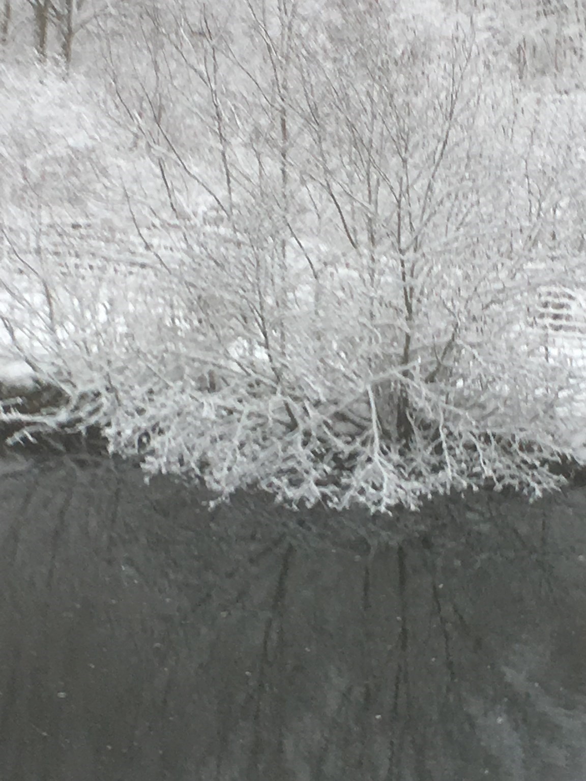 30 Little Rest Rd, Brimfield, MA 01010 - Image 37