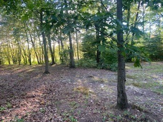 86 Union St, Easton, MA 02356 - Image 1