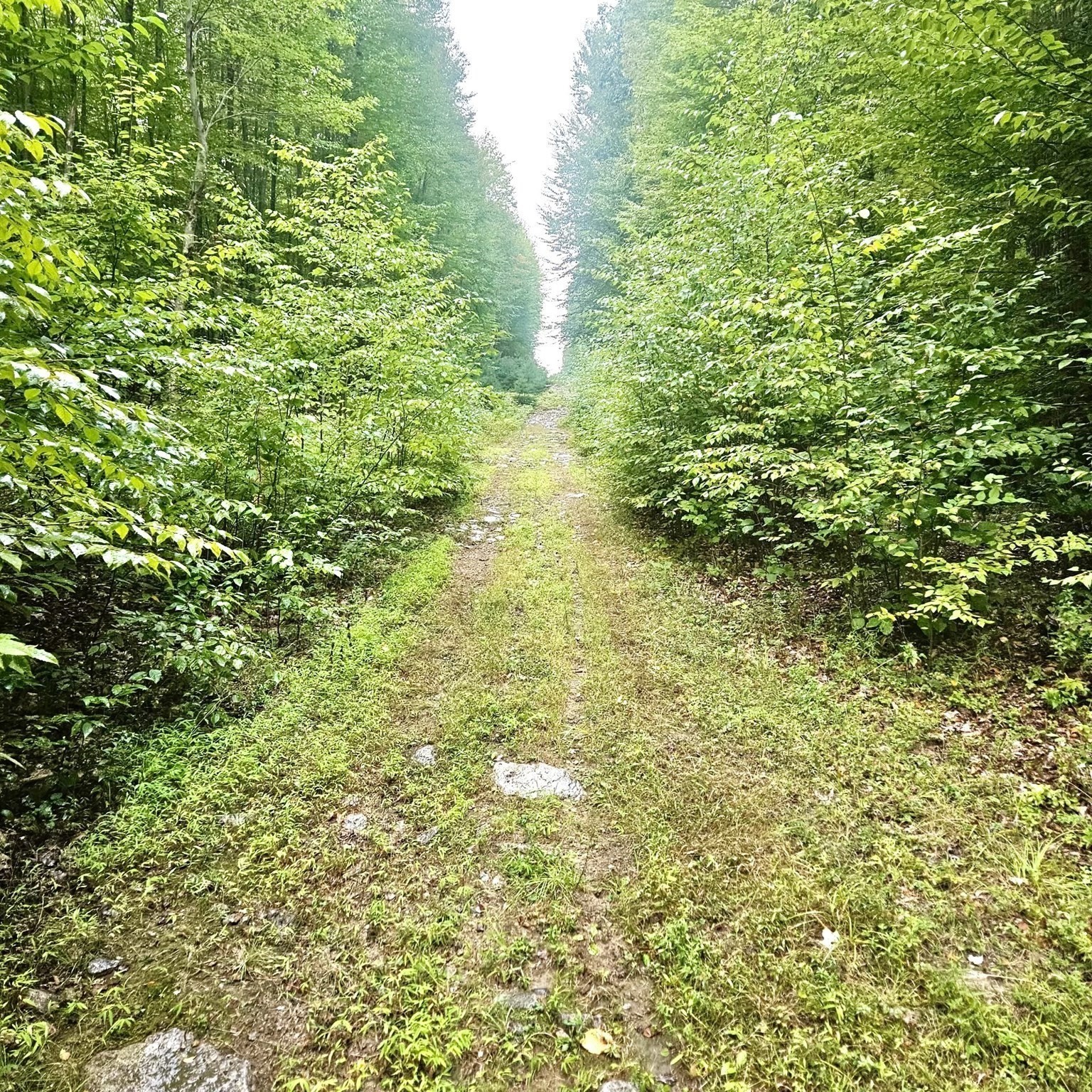 7 Tower Hill Rd, Oxford, MA 01540 - Image 38