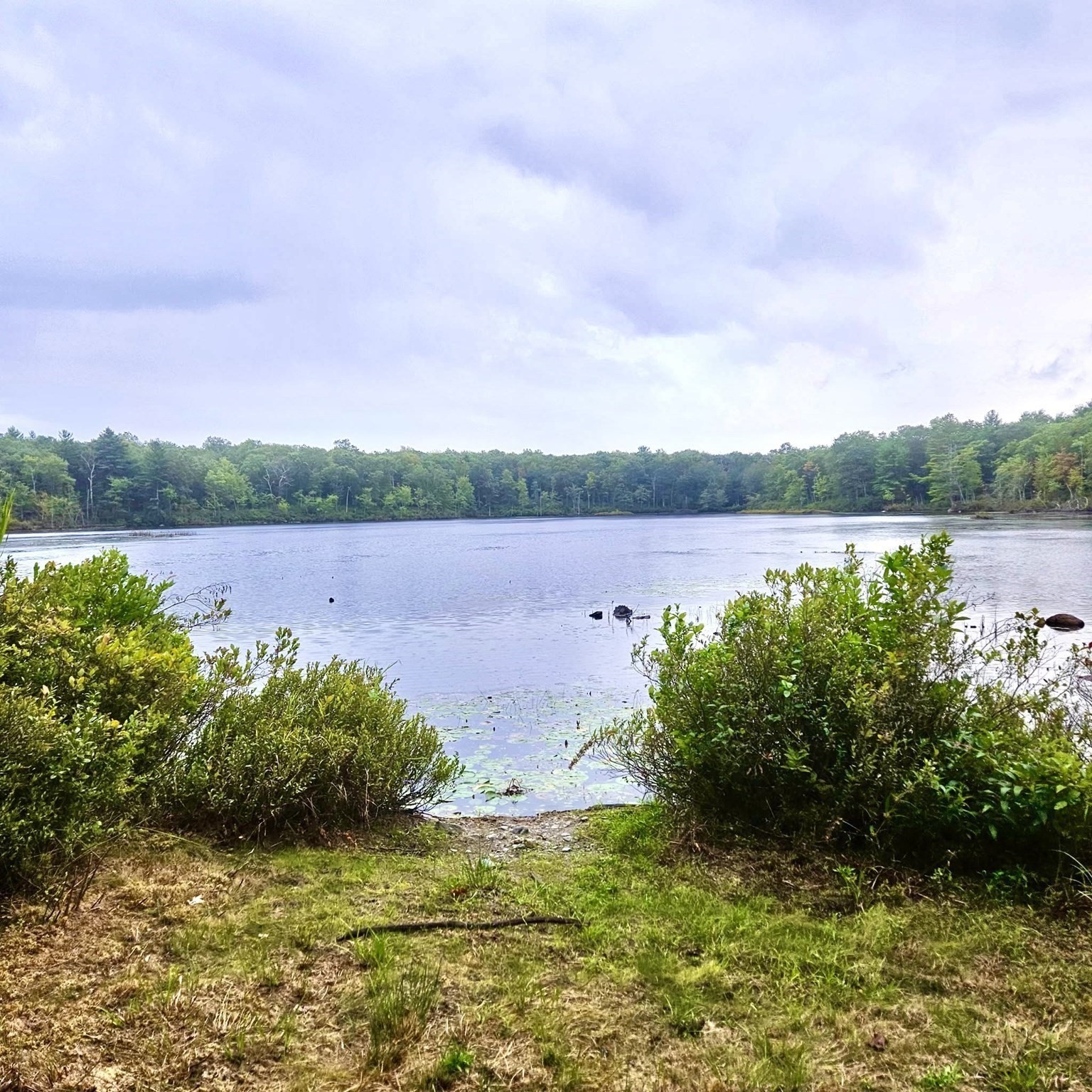 7 Tower Hill Rd, Oxford, MA 01540 - Image 39