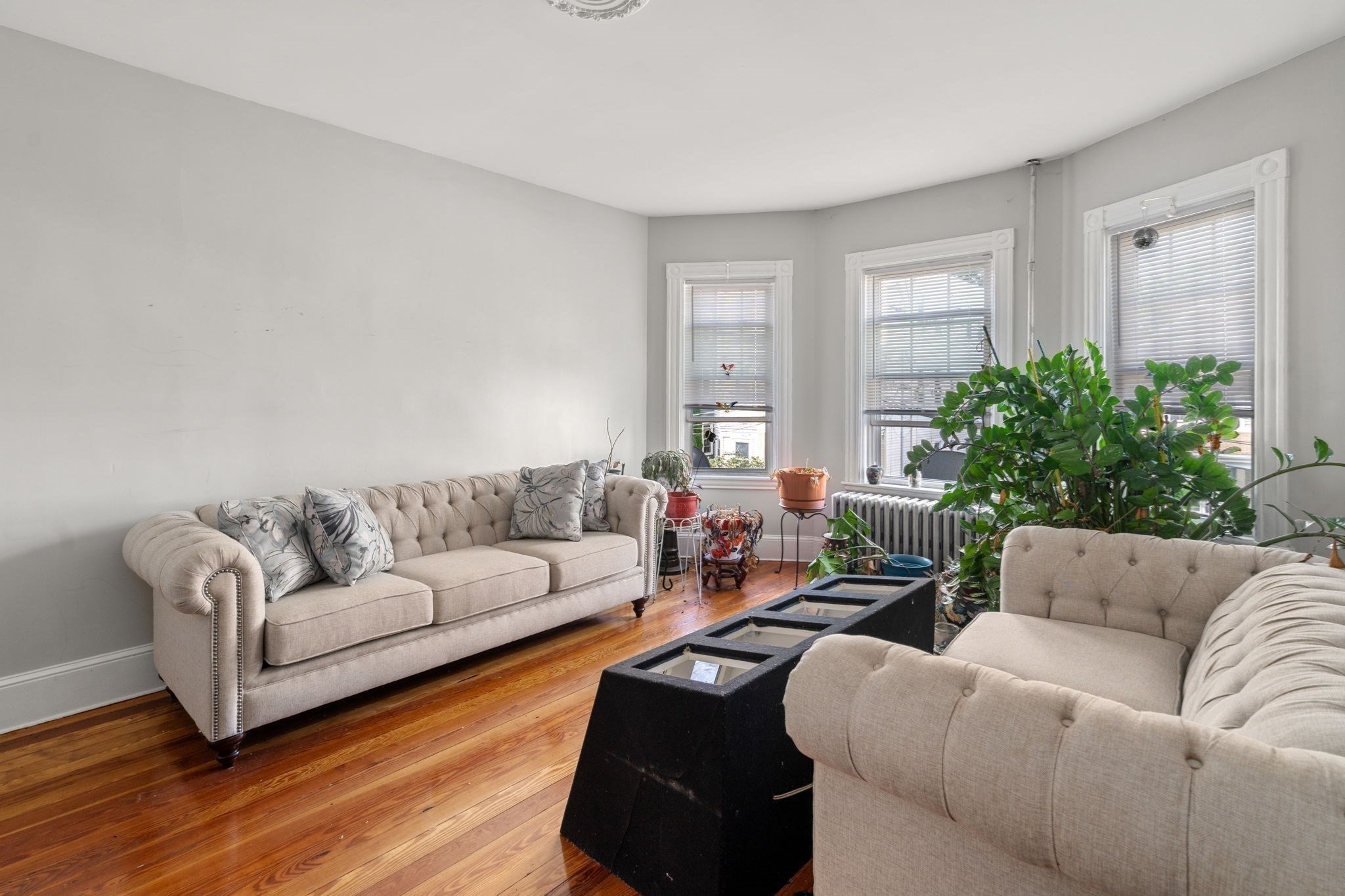 19 Elmhurst St, Dorchester, Boston, MA 02124 - Image 18