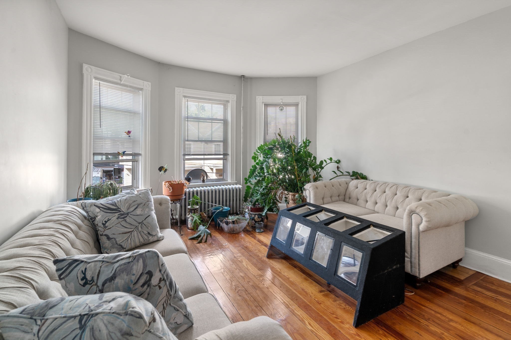 19 Elmhurst St, Dorchester, Boston, MA 02124 - Image 19