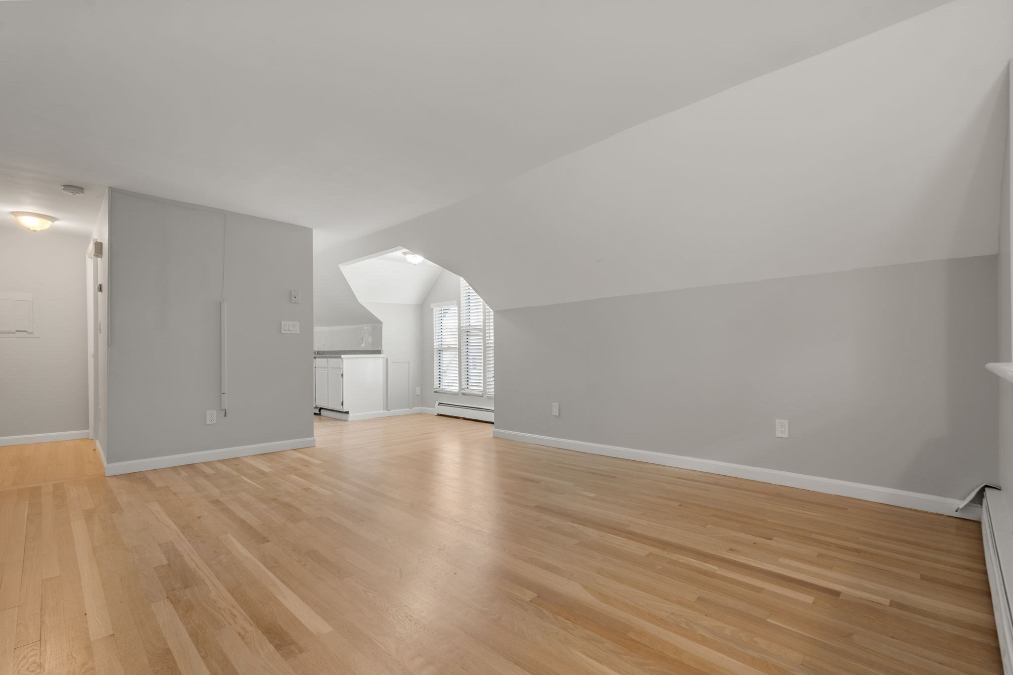 12 Shannon St Unit 3, Brighton, Boston, MA 02135 - Image 3