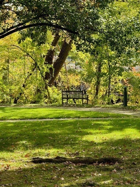 183 Oak Street Unit 205, Newton, MA 02464 - Image 26