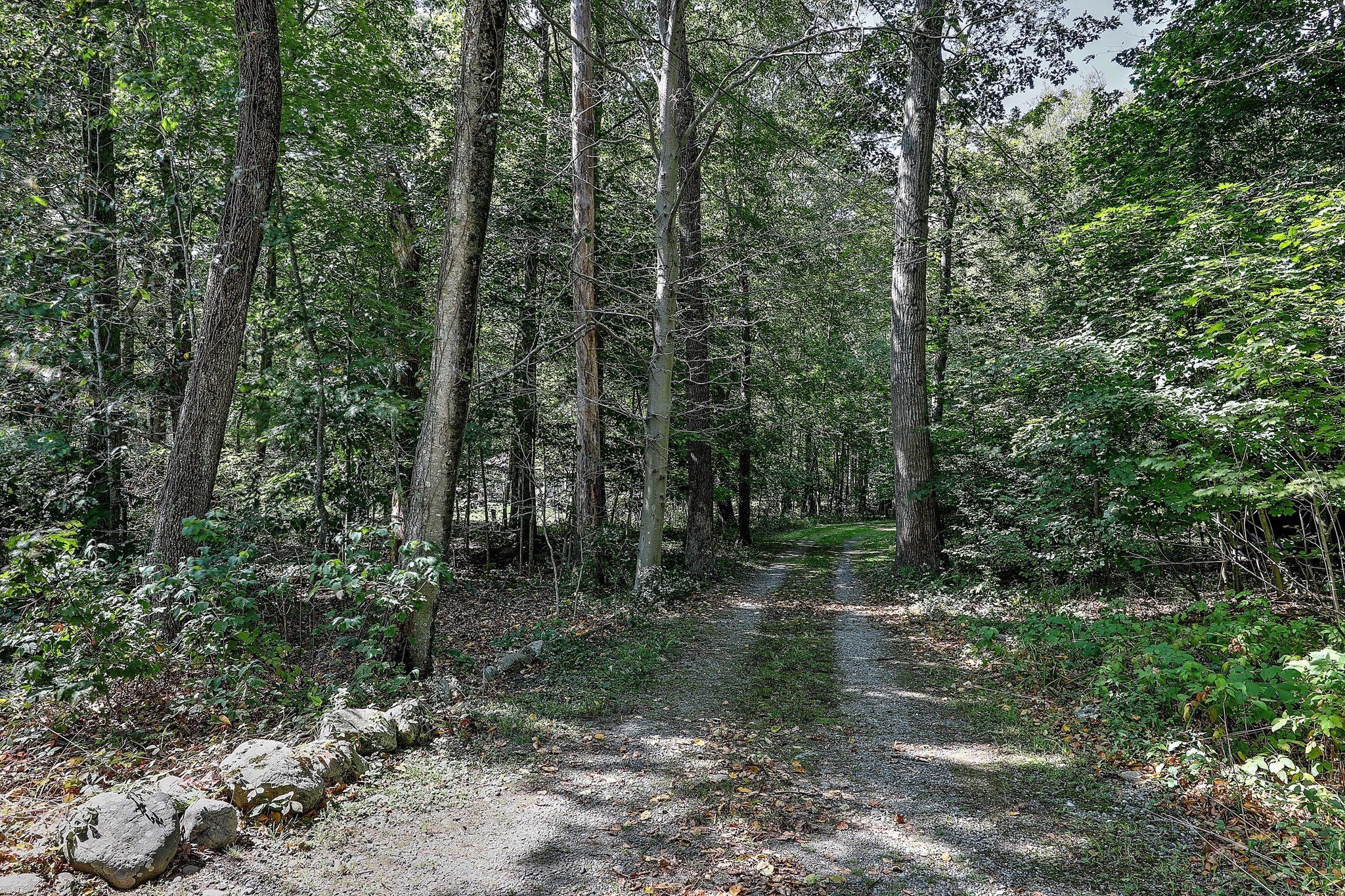 16 Salisbury, Rehoboth, MA 02769 - Image 41