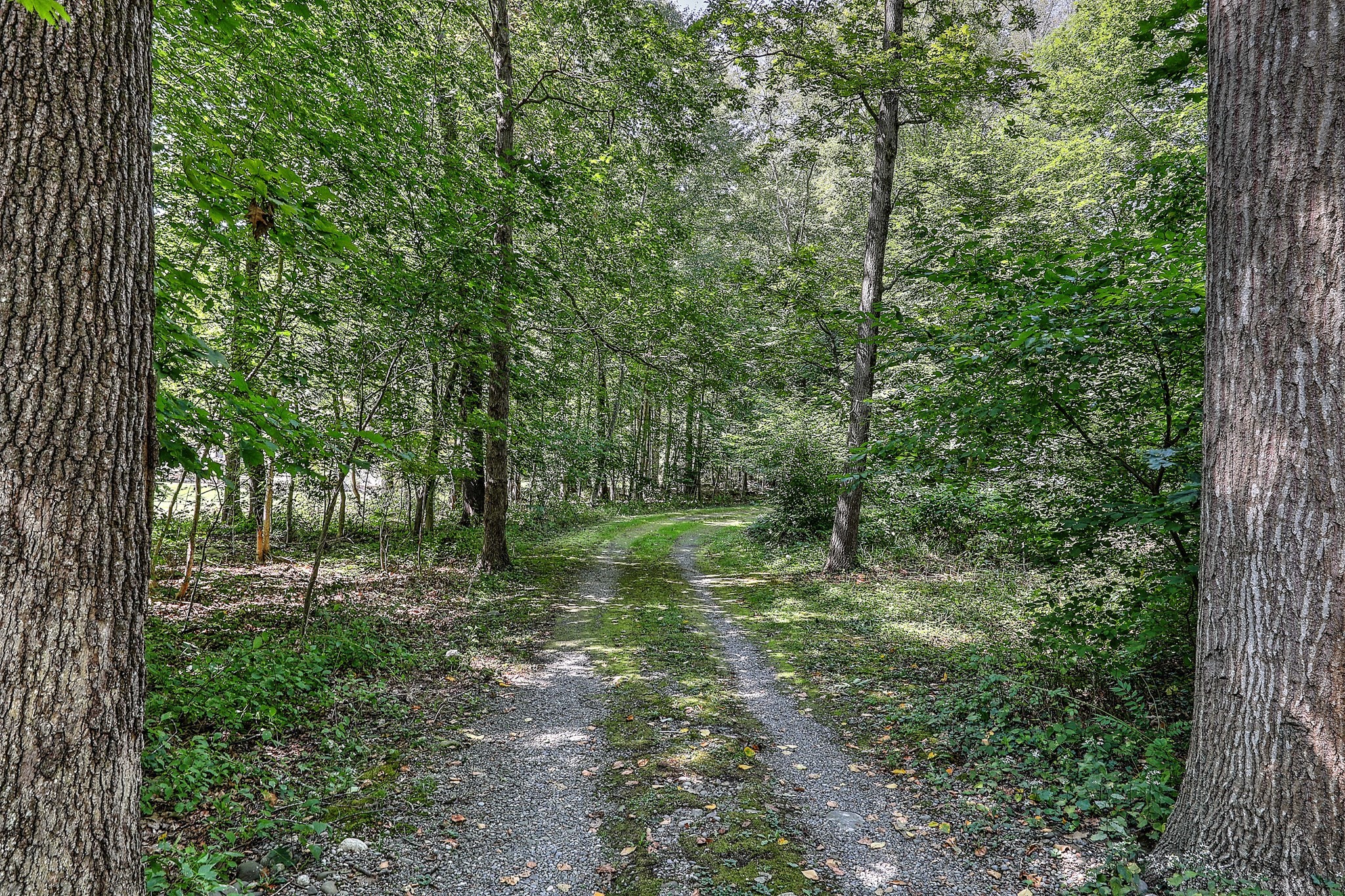 16 Salisbury, Rehoboth, MA 02769 - Image 42