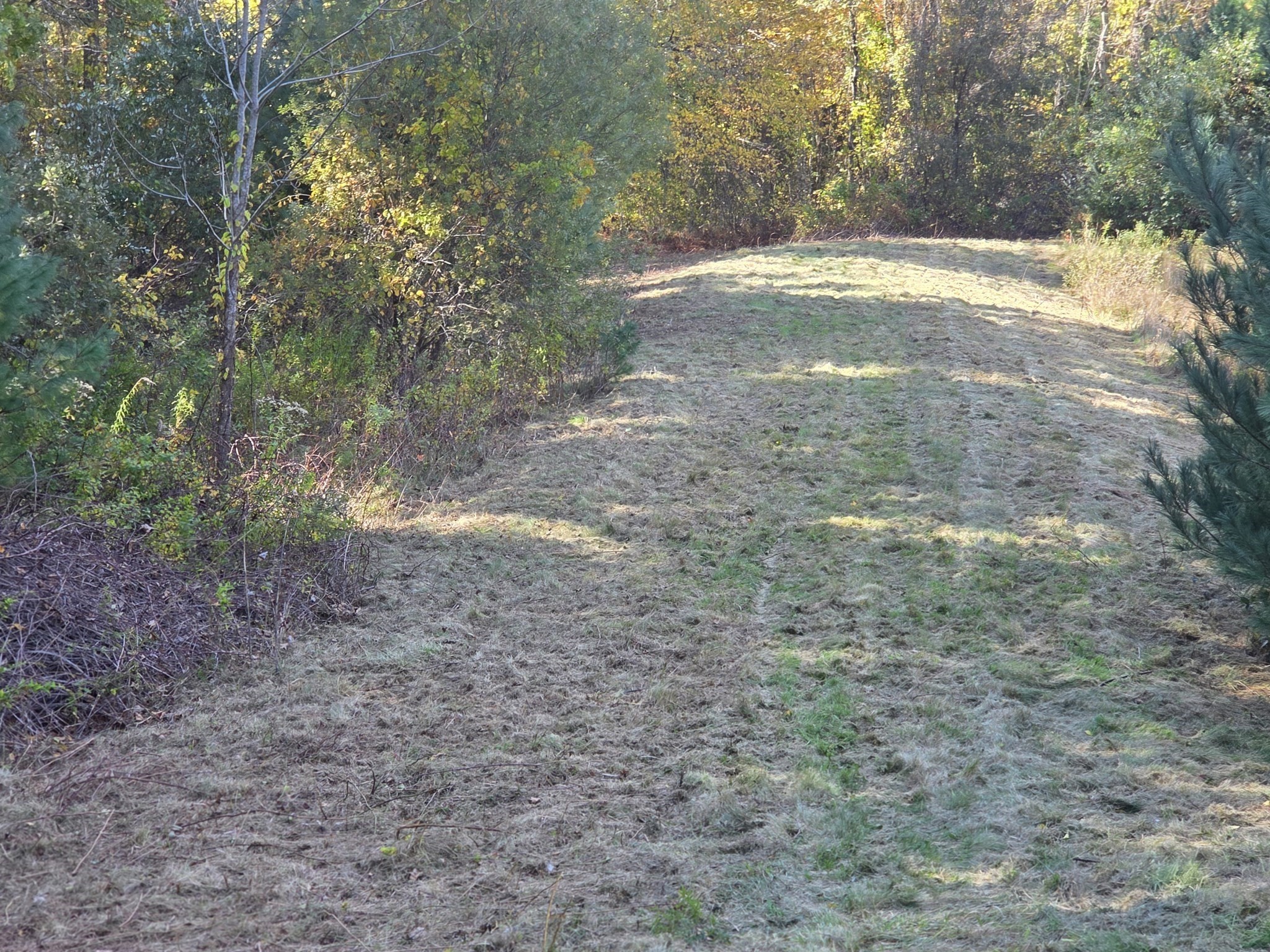 0 Costa Dr,, Freetown, MA 02717 - Image 1